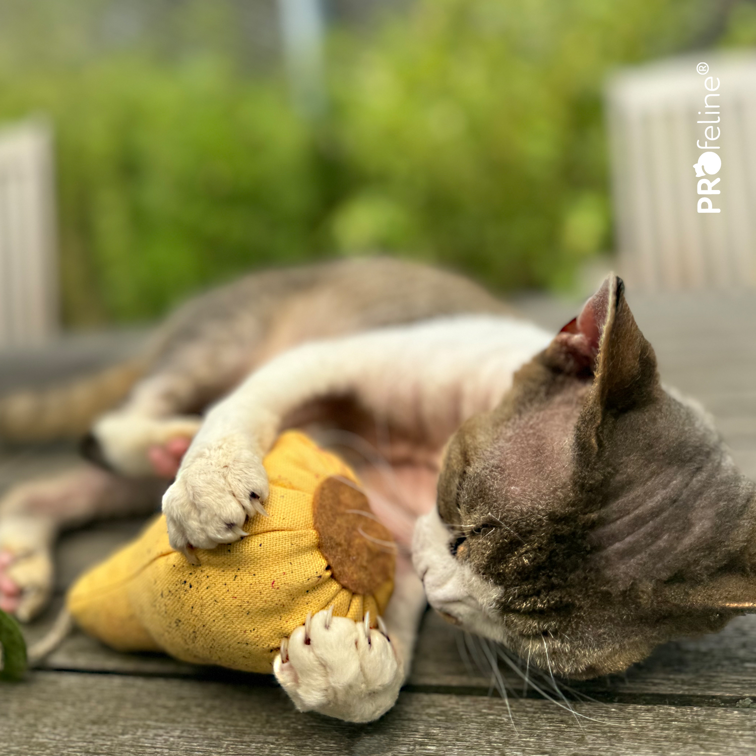DreamCat - Pear Katzenspielzeug Birne Handarbeit mit Katzenminze USA