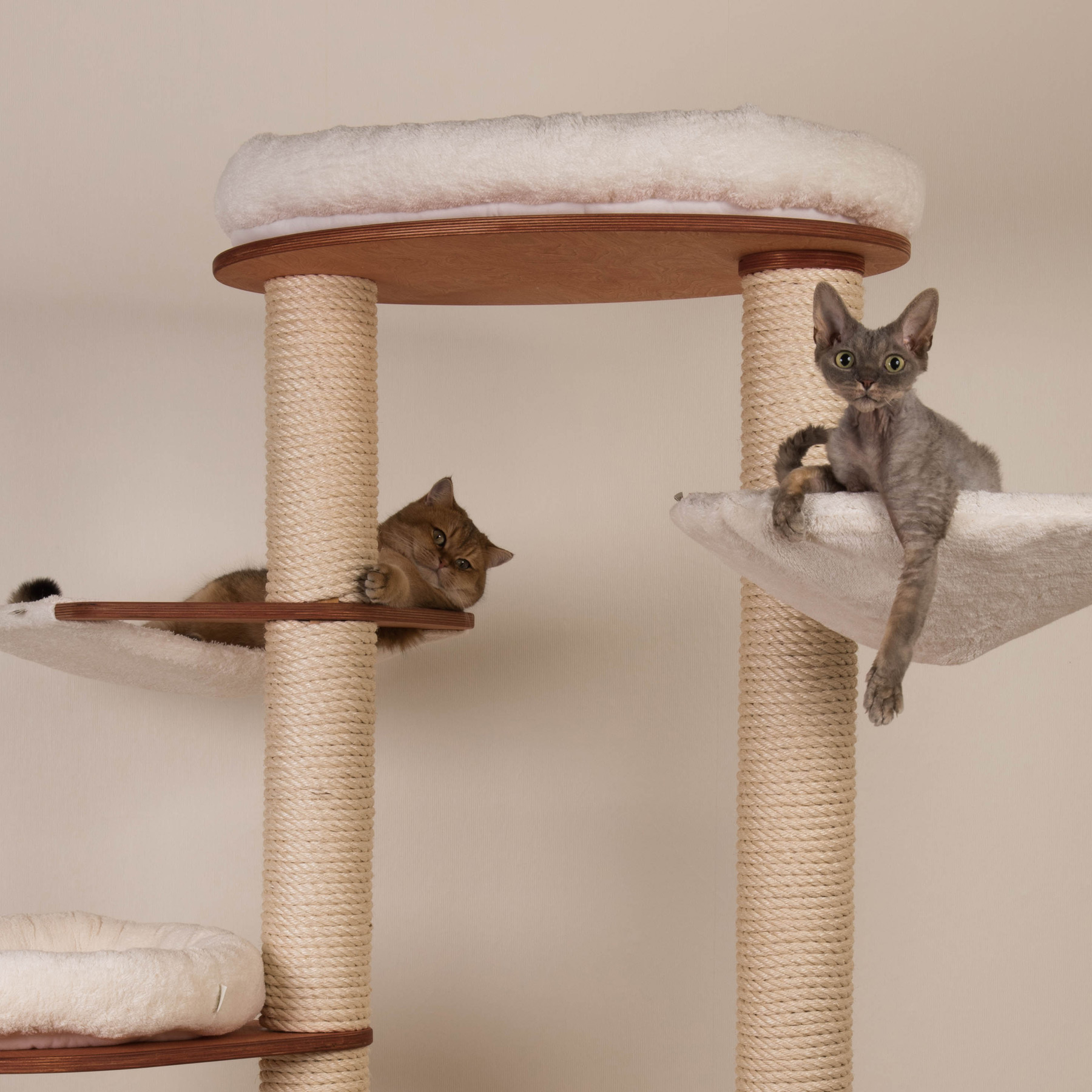 Cat Tree Model Jette Kratzbaum Jette