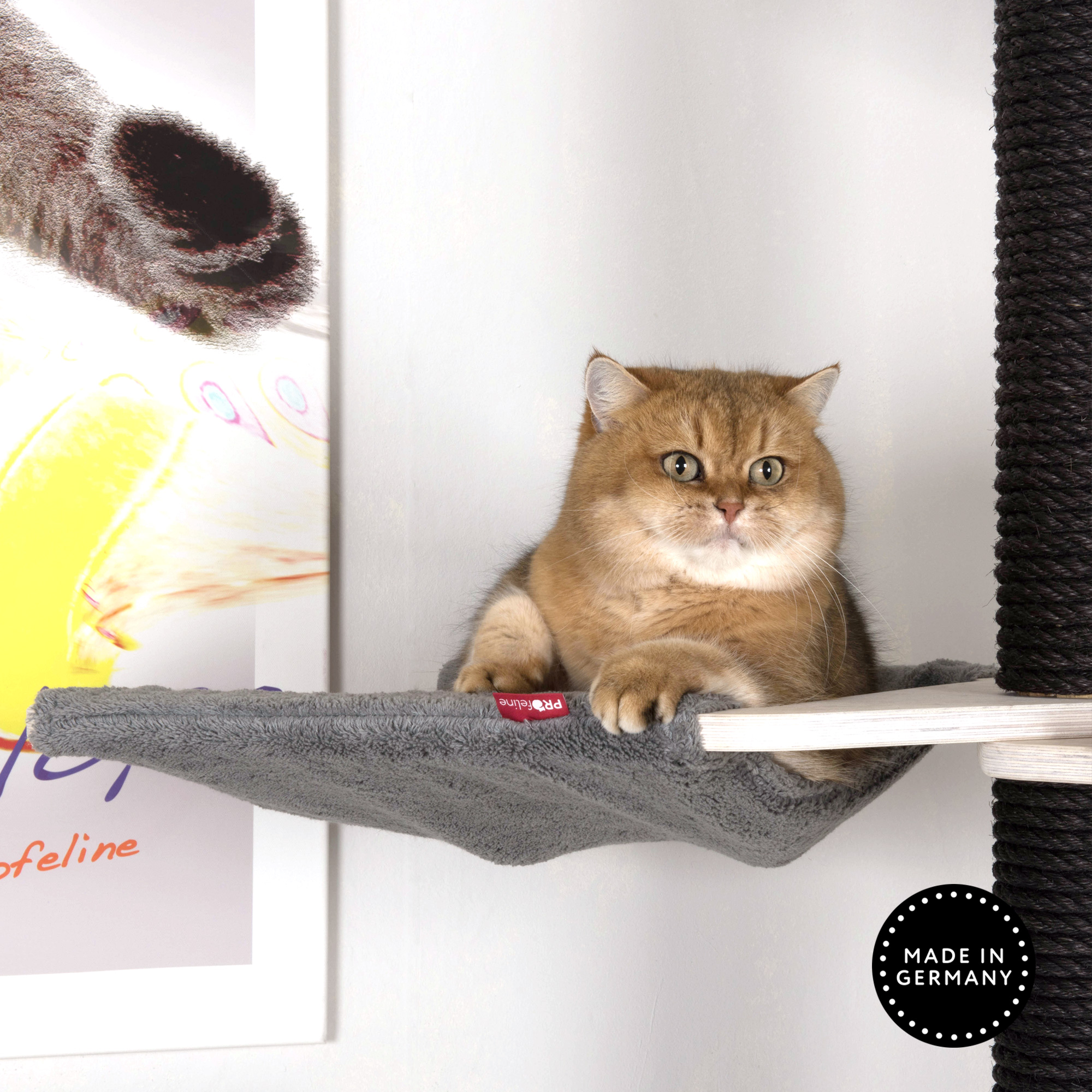 Ceiling Cat Tree Model Pauline Hängematte grosse Katzen grau