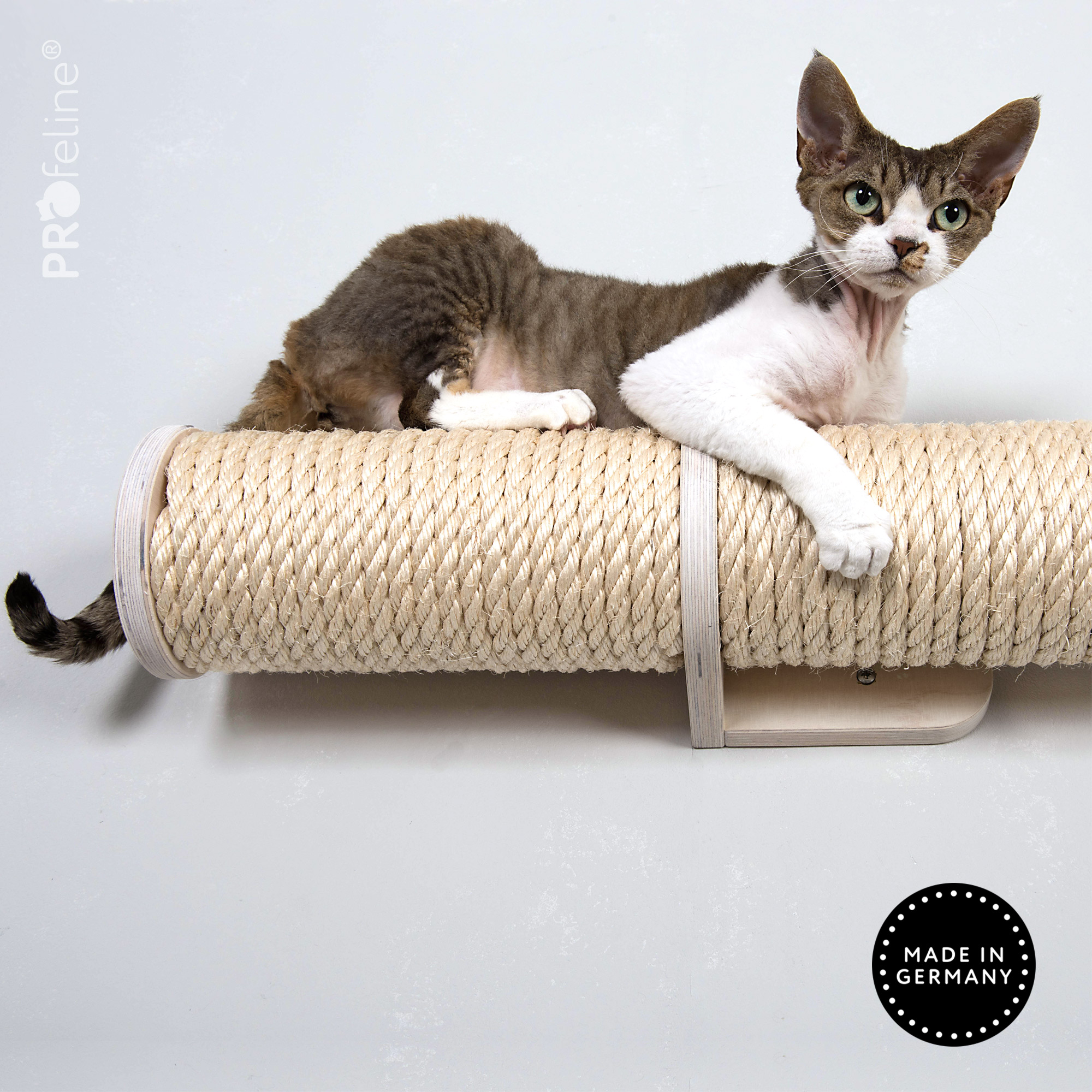 katzen-laufsteg-runway-katze-weiss-1 Sisal Natural, Wood White