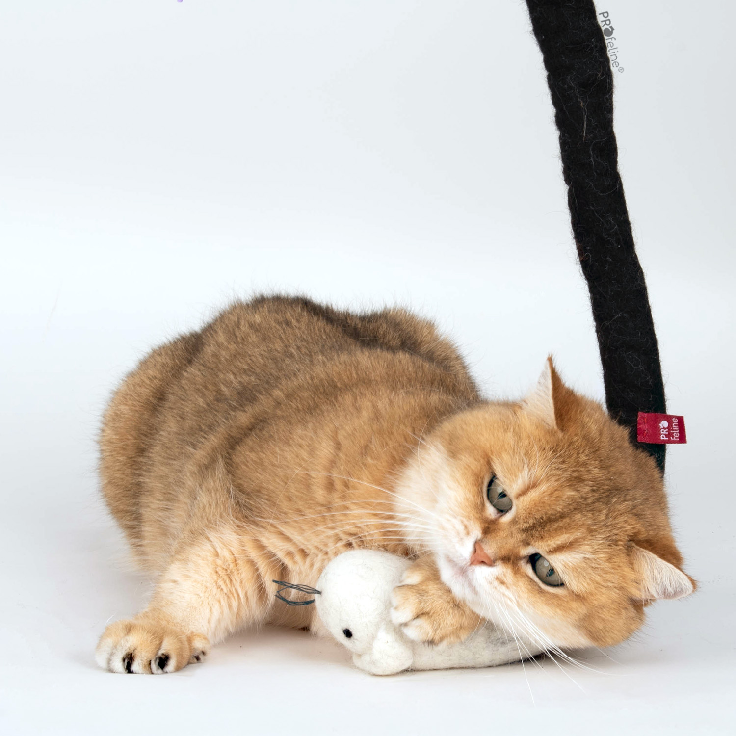 Profeline - Woolly LongMouse