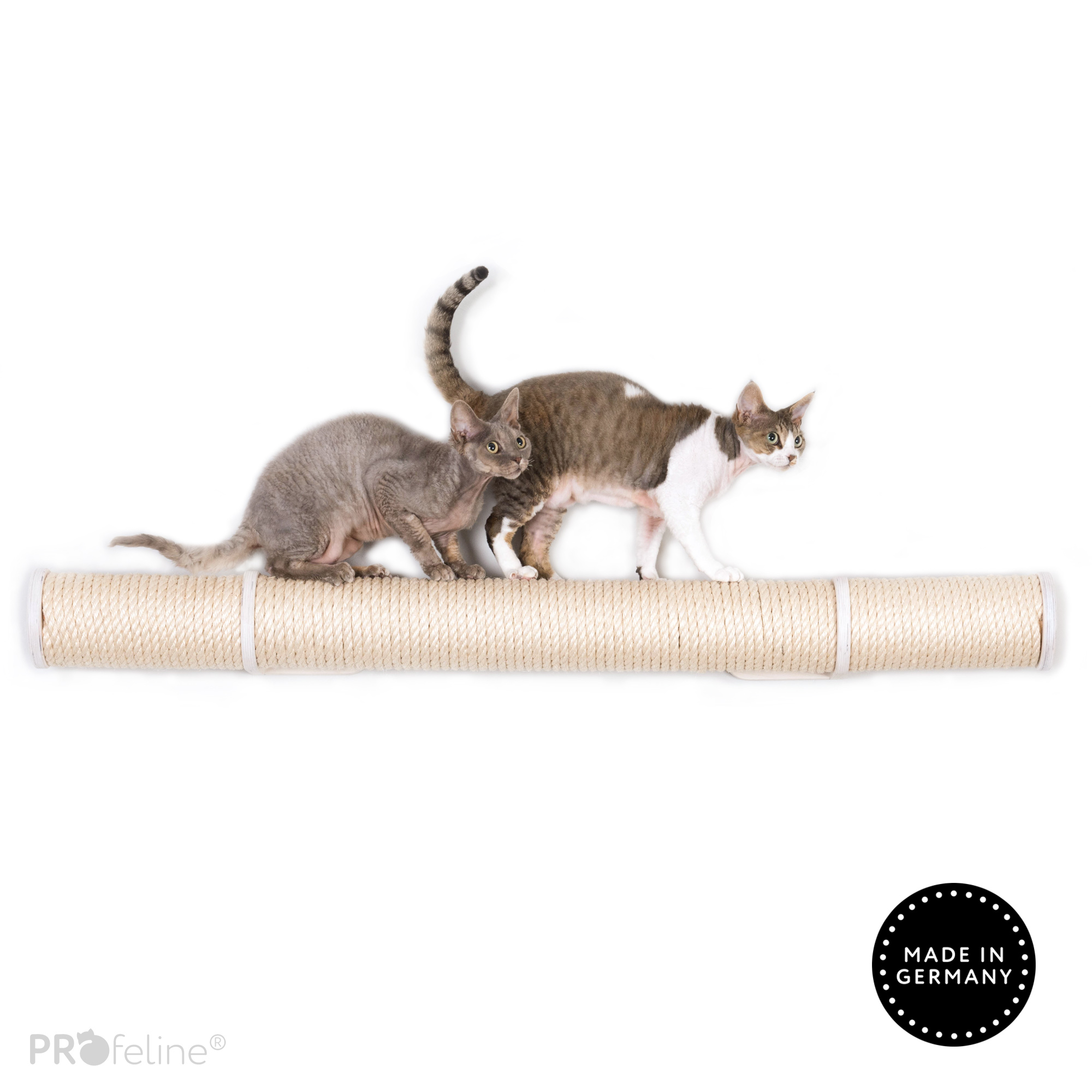 cat-laufsteg-runway-white Sisal Natural, Wood White