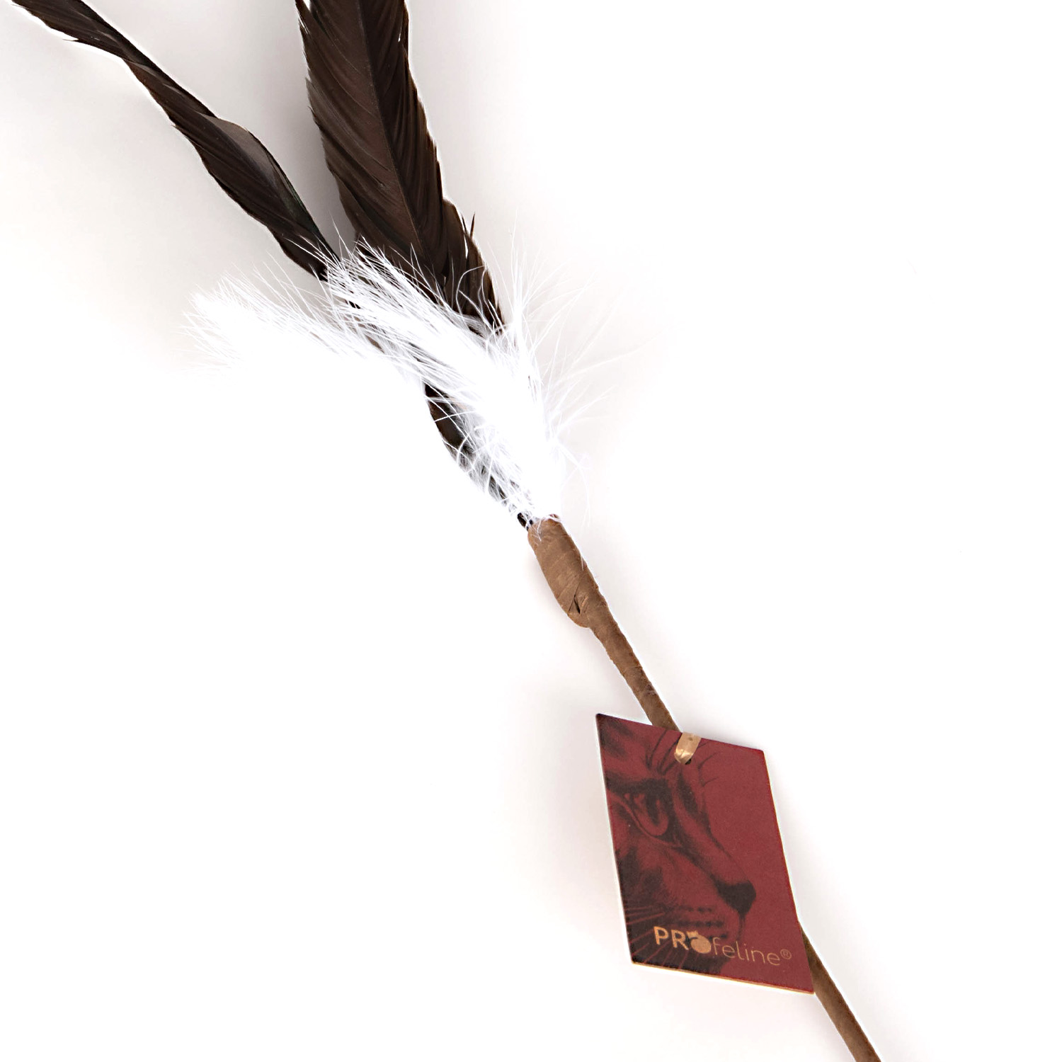 Cat Teaser Rooster Dancer