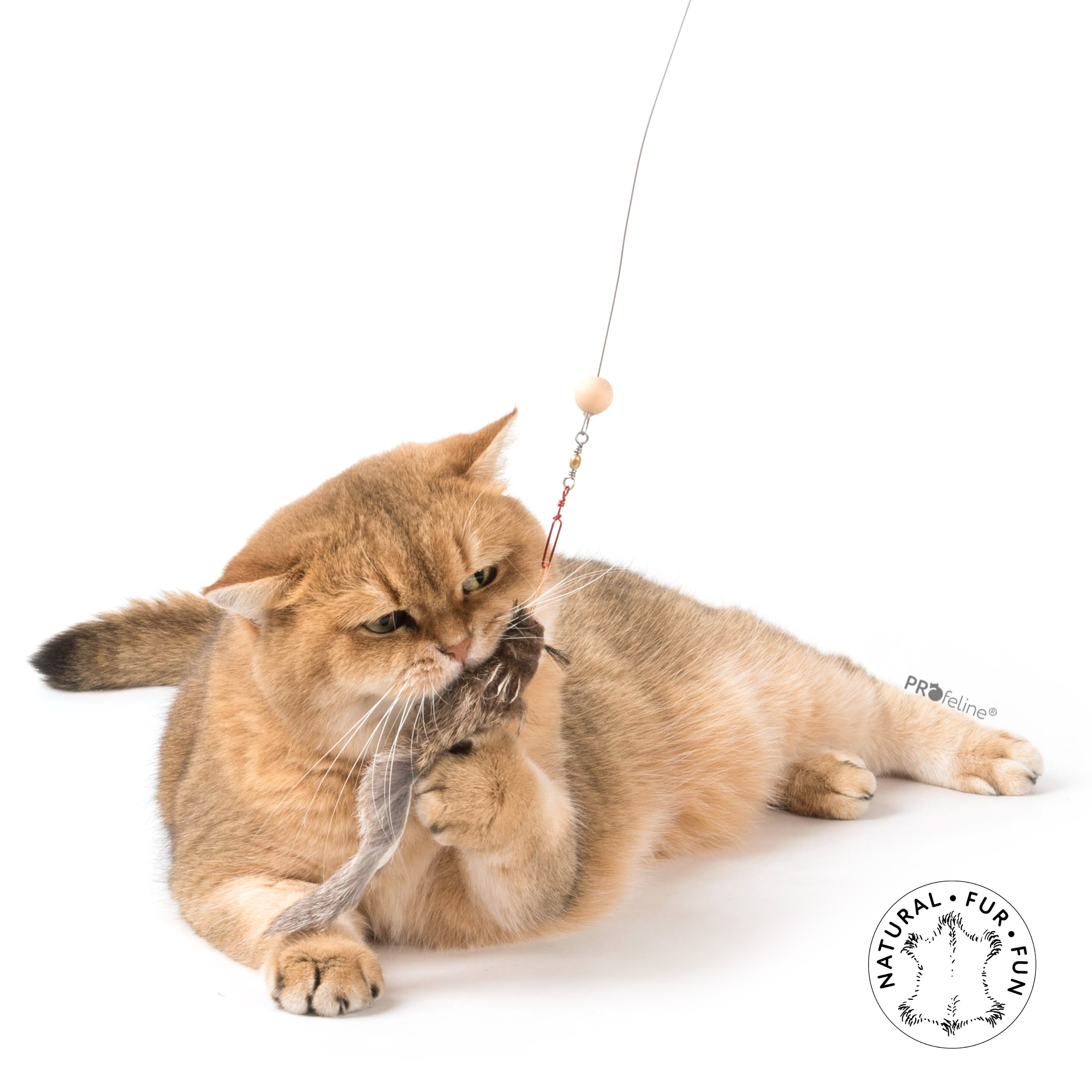 cat-toy-ersatzanhaenger-squirrely Profeline - Squirrely