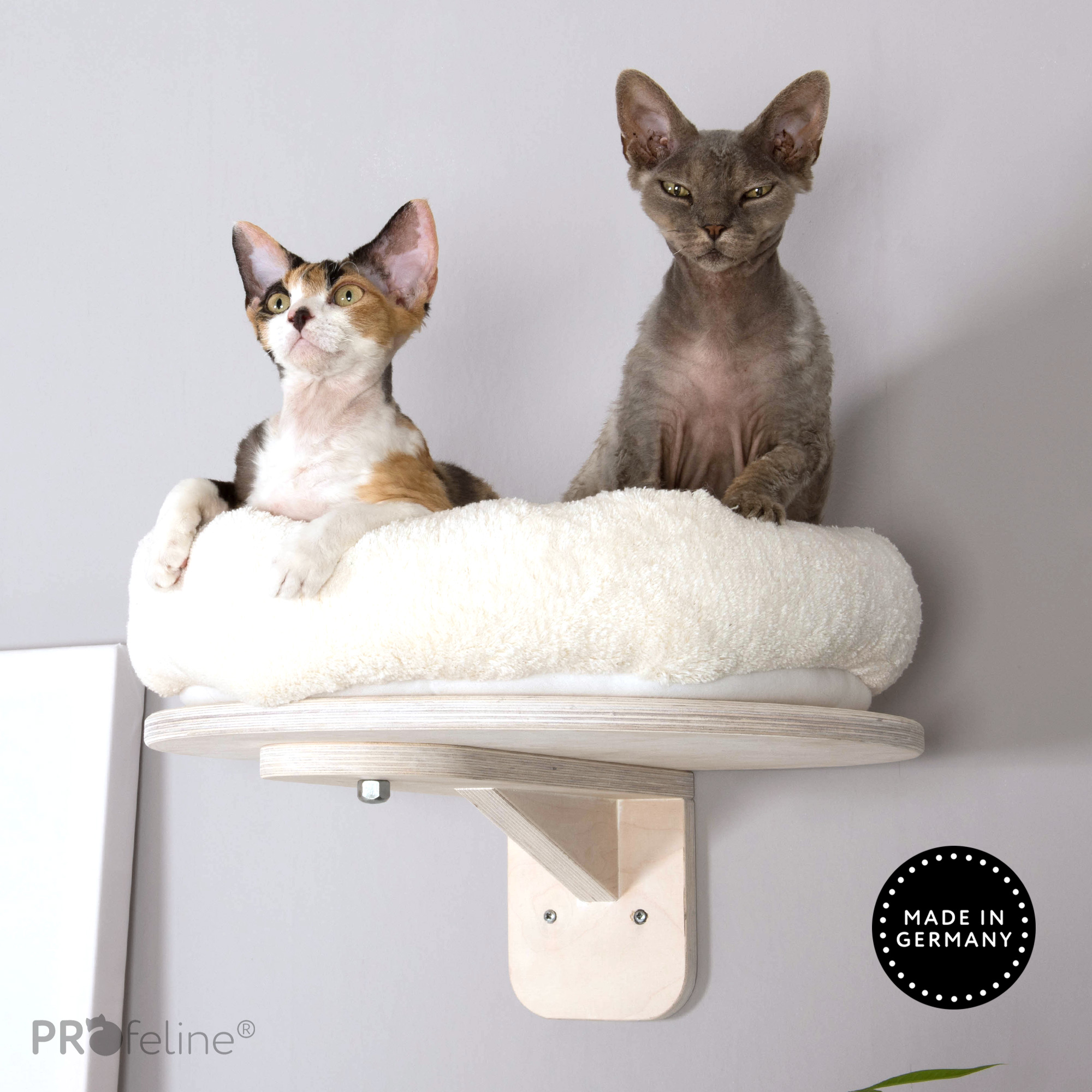 Wandliege Katzenbett Katzen Wandliege waschbares Katzenbett