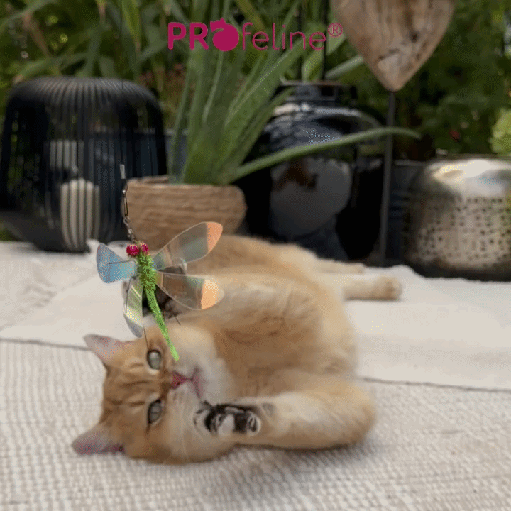 Dragonfly Duo – Shimmer Edition | Cat Toy (2 Pack)