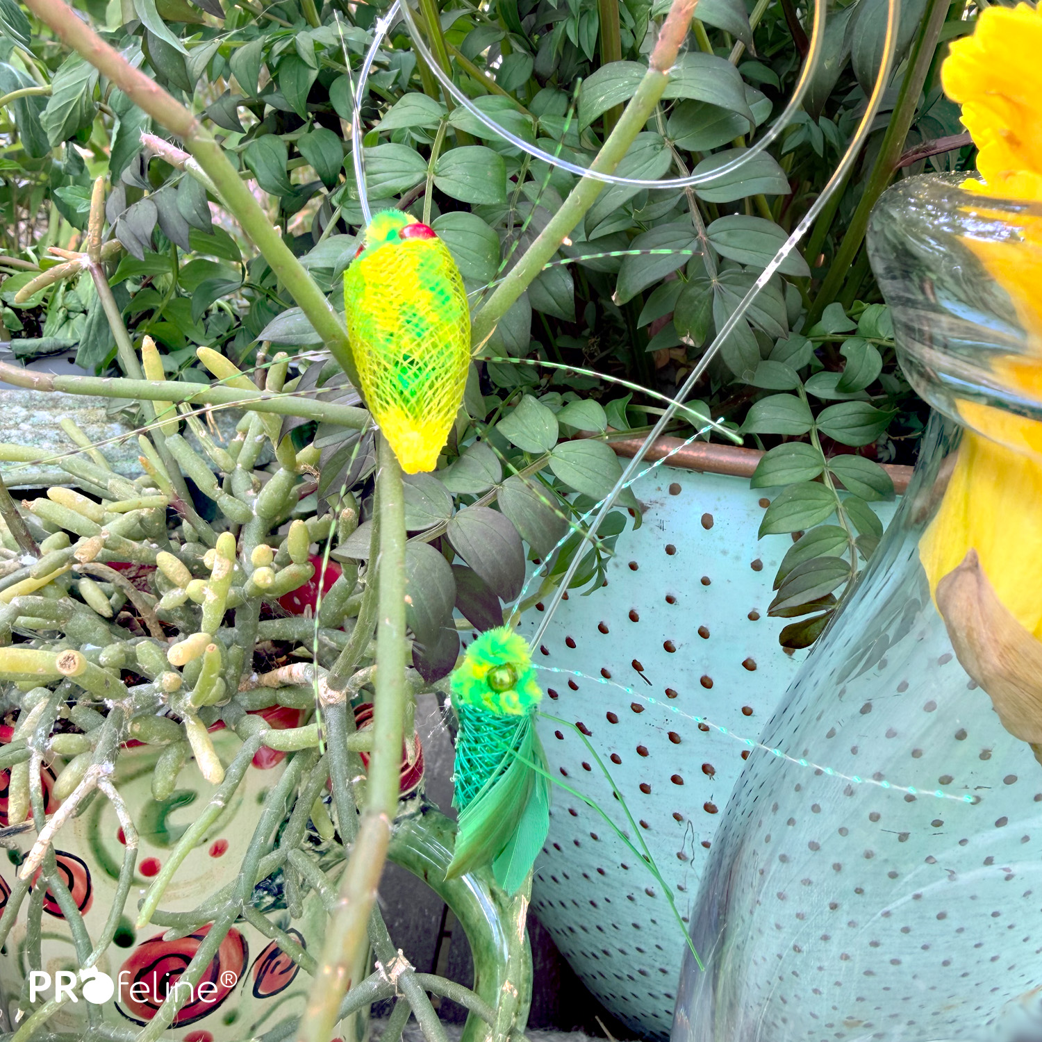 Green Creature Refills