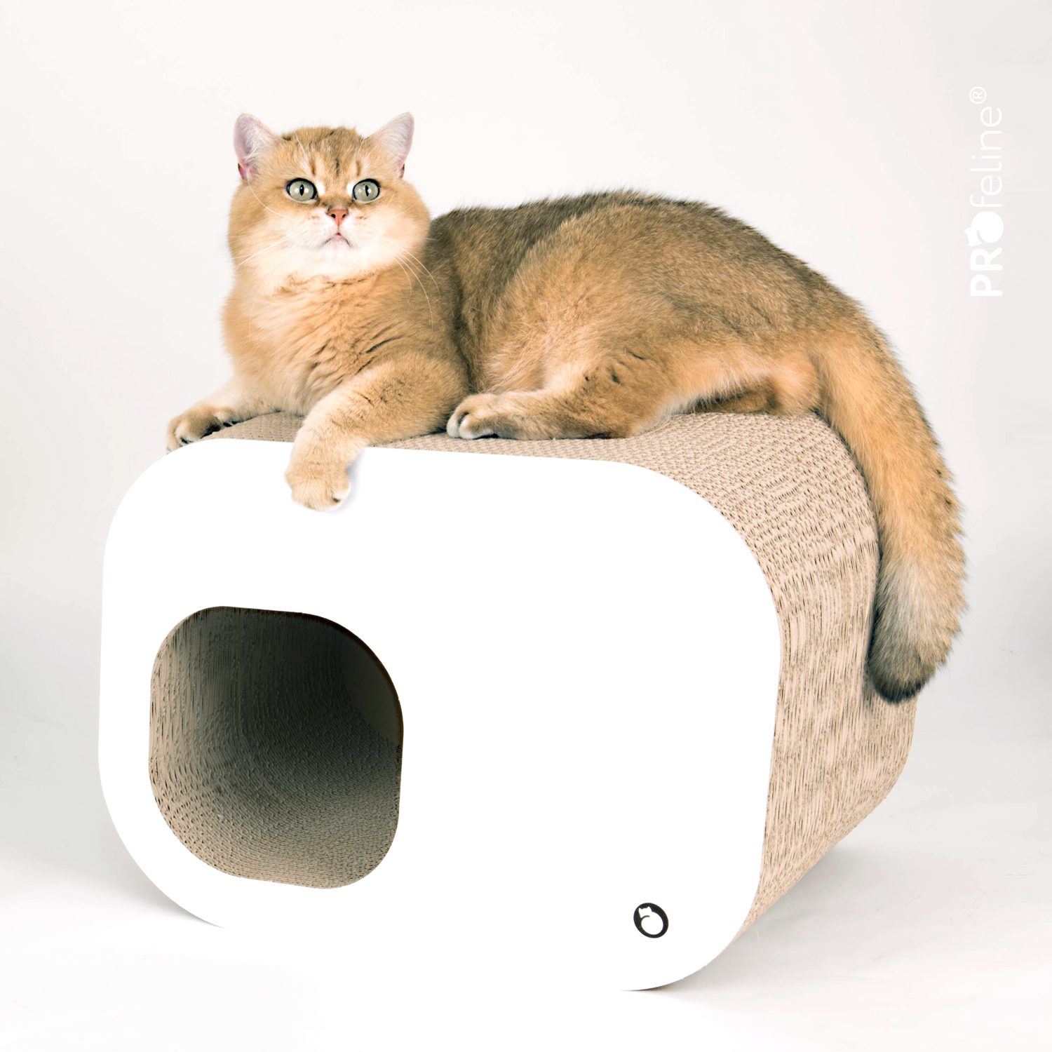 Scratching furniture Tondra - Cardboard White Kratzmöbel Tondra weiss mit Höhle