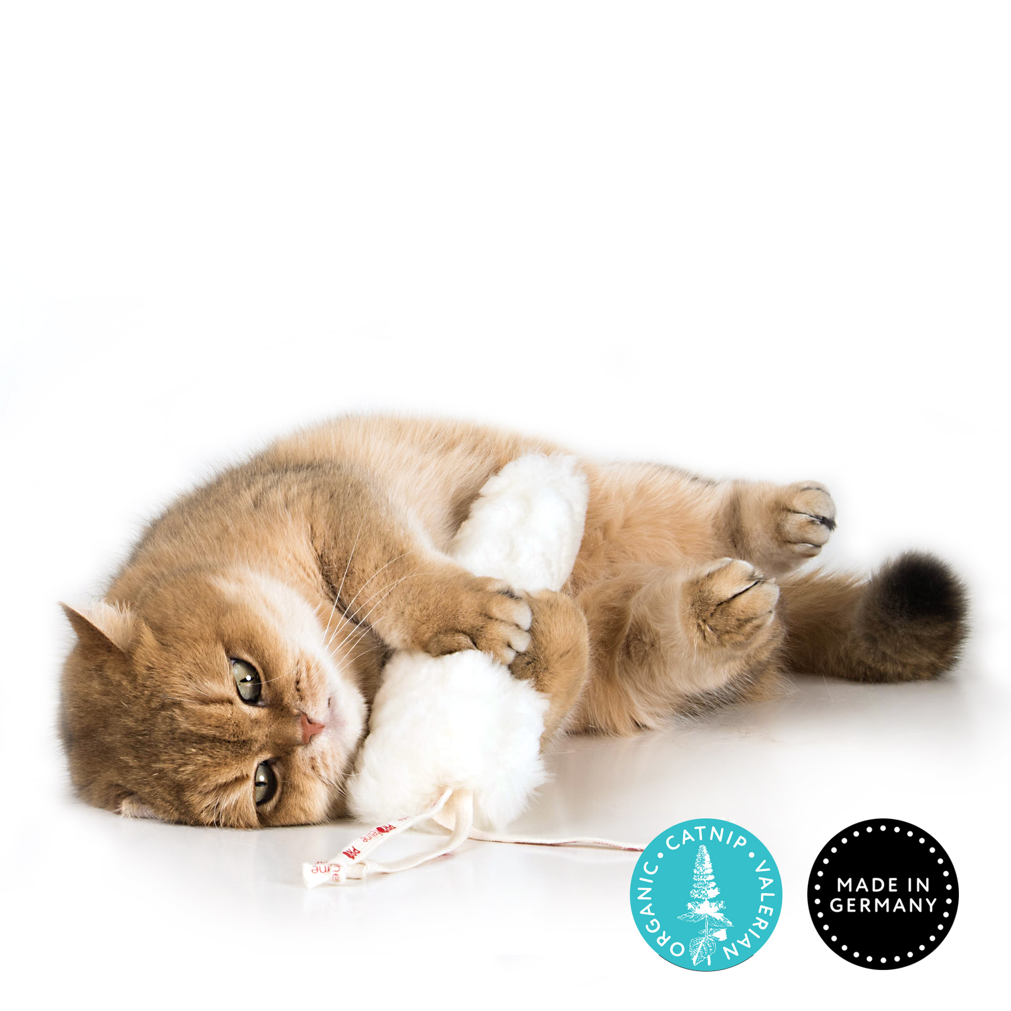 Katzen Kampfspielzeug Huggy
