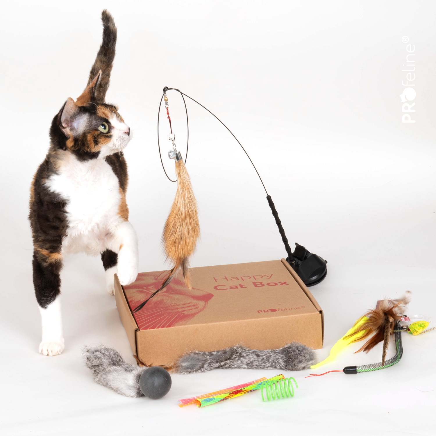 Interaktive Spielzeugbox für Katzen