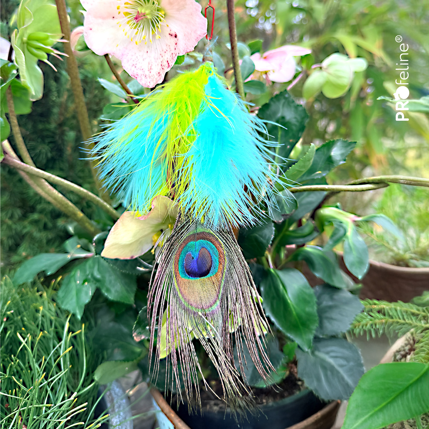 Katzenspielzeug Federn für Katzenangel