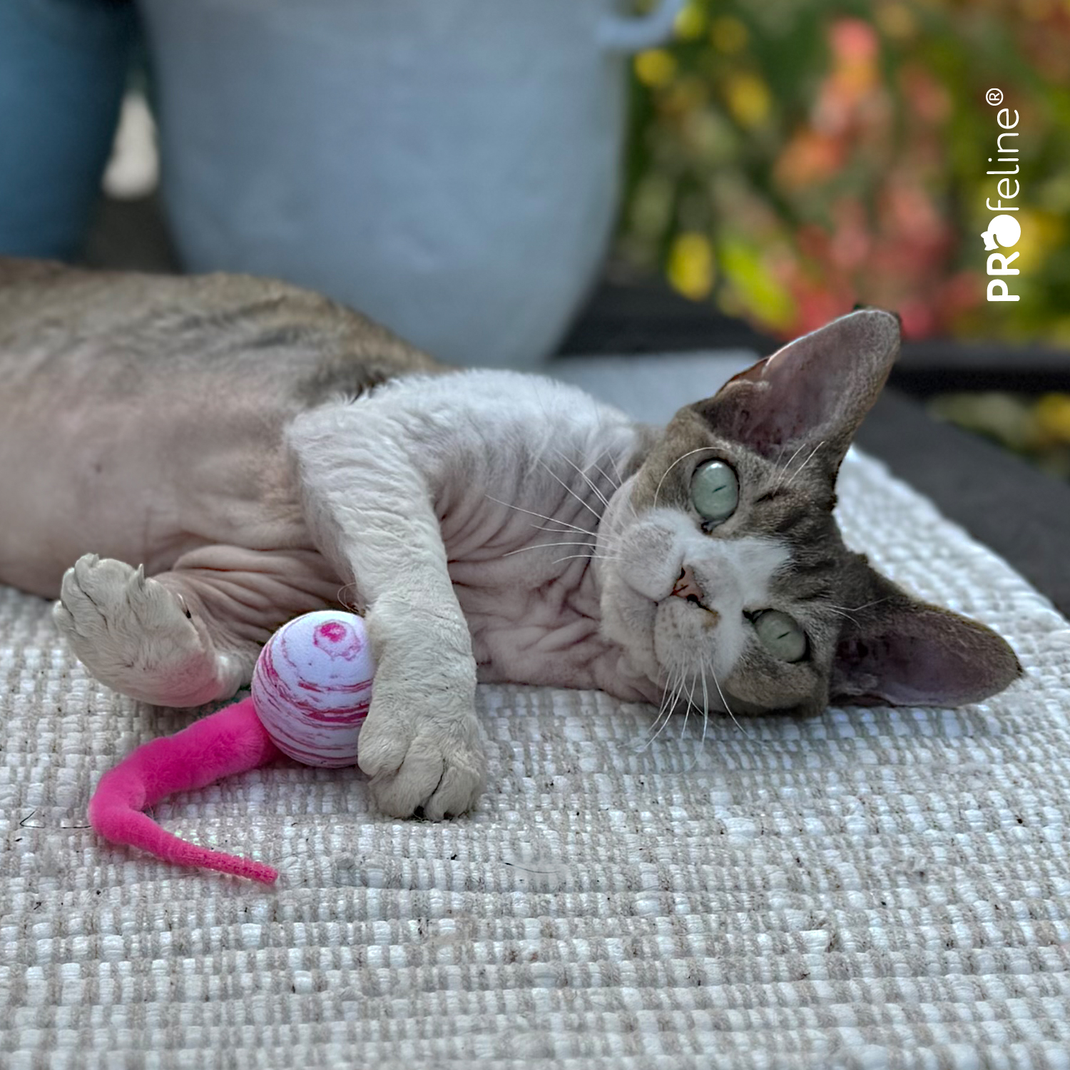 Katzenspielzeug Ball mit Plüschschwanz