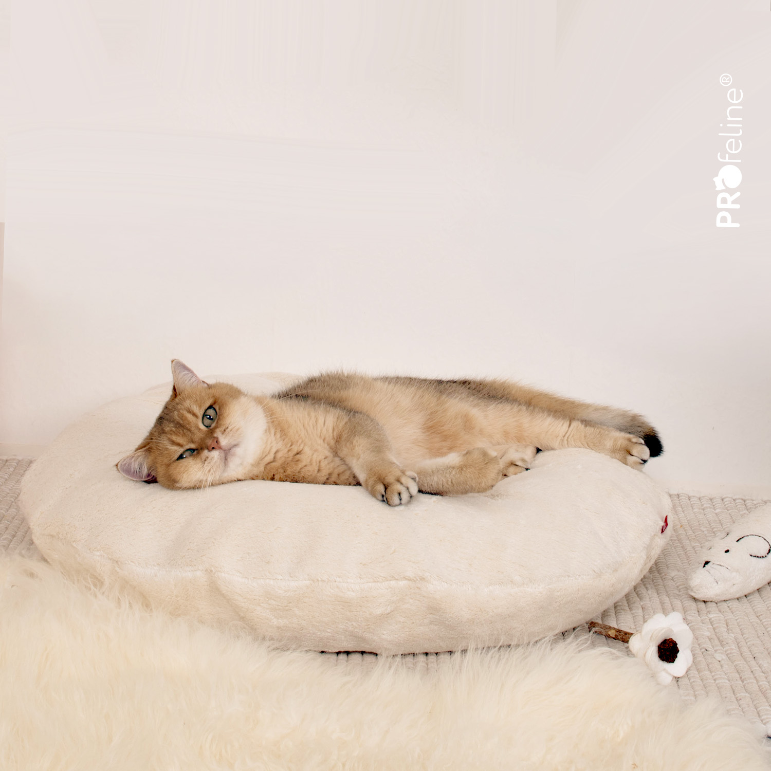 Katzenbett Donut waschbar 70 cm Baumwolle
