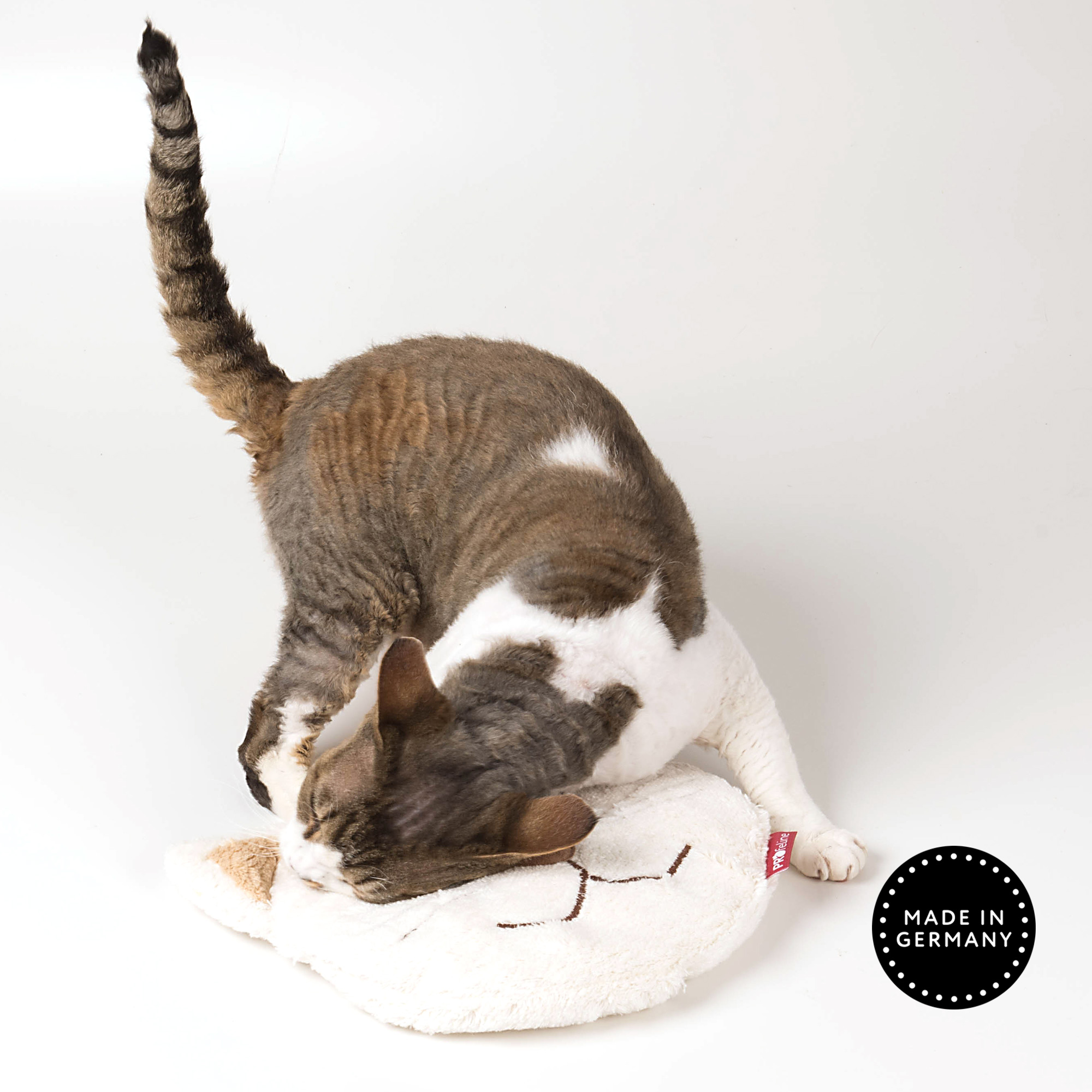 cat-heat-pillow-pauline-with-cat Heating Pillow Pauline