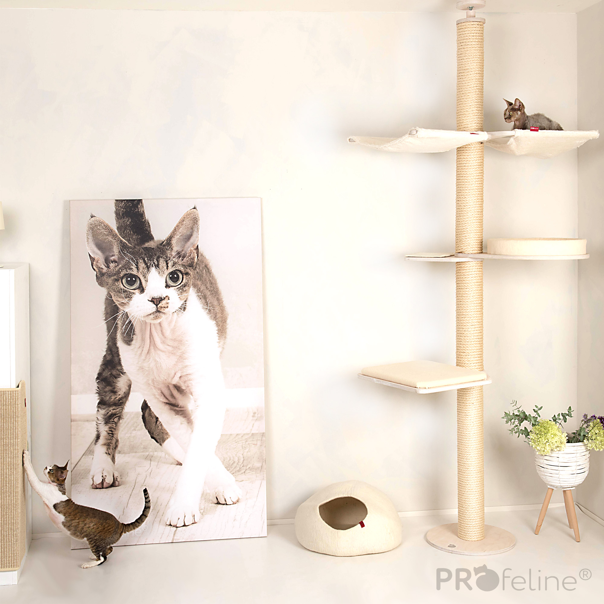 Ceiling Cat Tree Model Ines Deckenhoher Kratzbaum Hängematten Weiss Bezug Teppich Natur