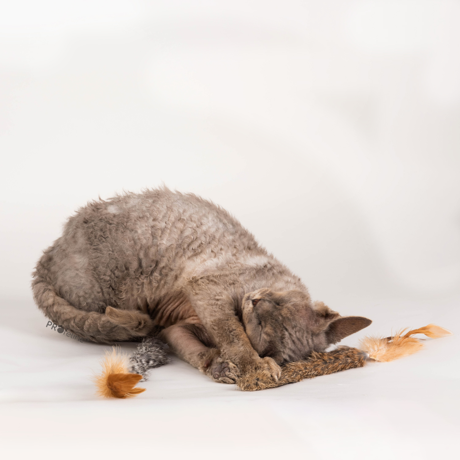 Furry Leek 2-Pack Katzenspielzeug Fell Furry Leek