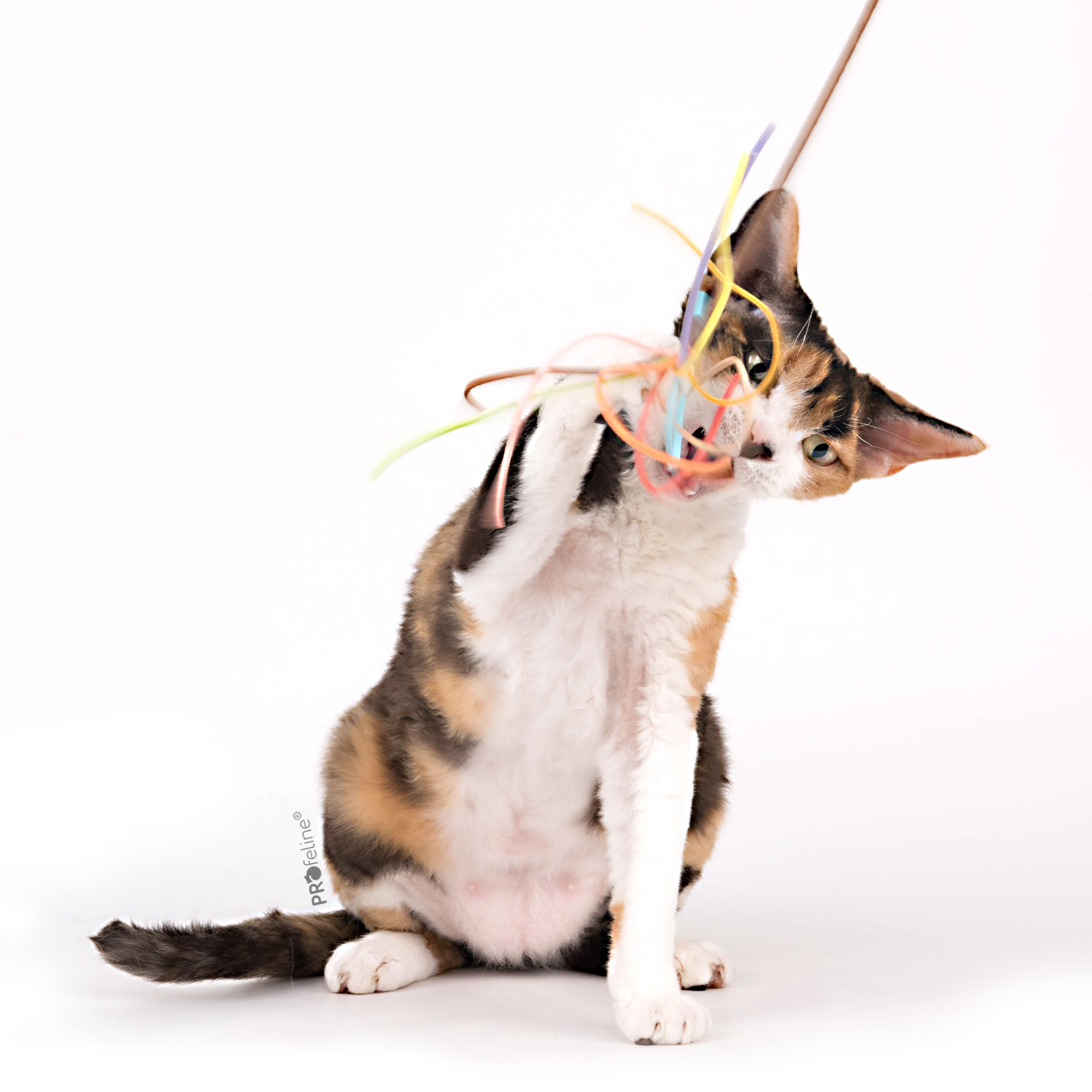 Profeline - Cat Teaser Suede Tassel Katzenwedel Lederbänder