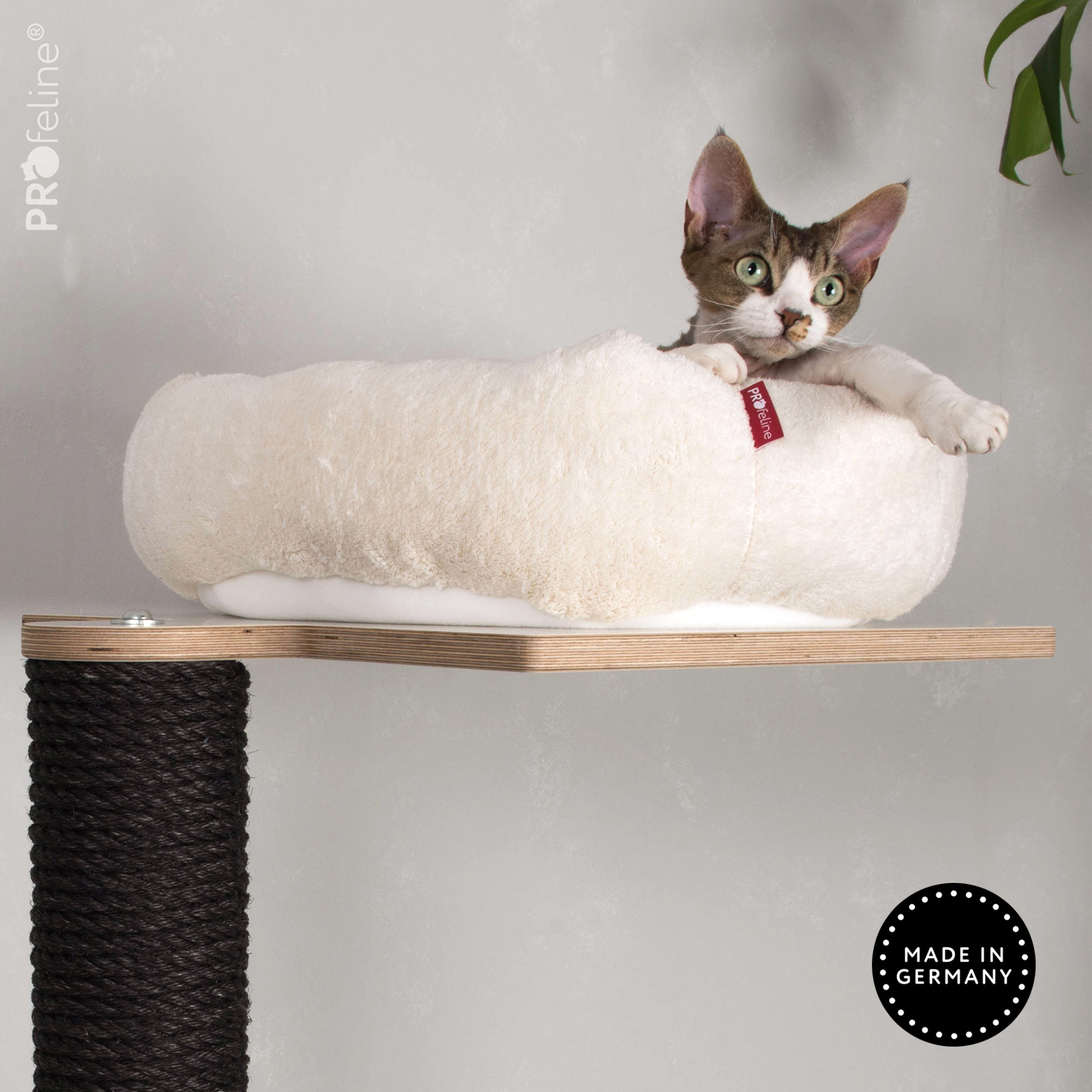 PURE Cat Tree Kontenta Katzenbett Hollow Kratzbaum