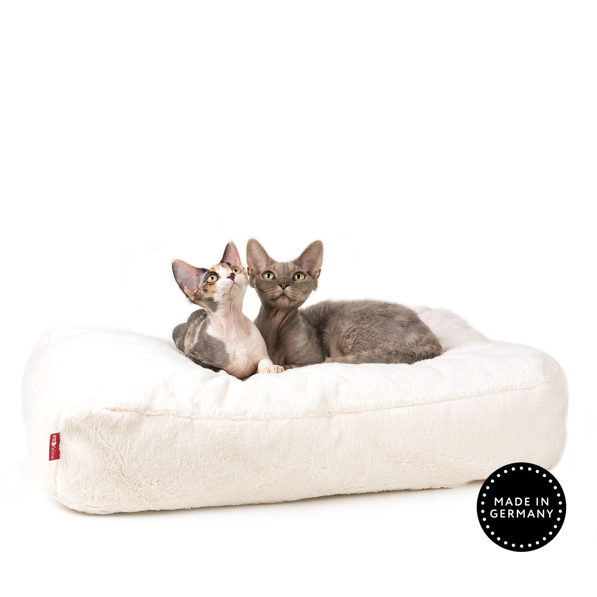 Cat Bed Feline Futon Extra grosses Katzenbett