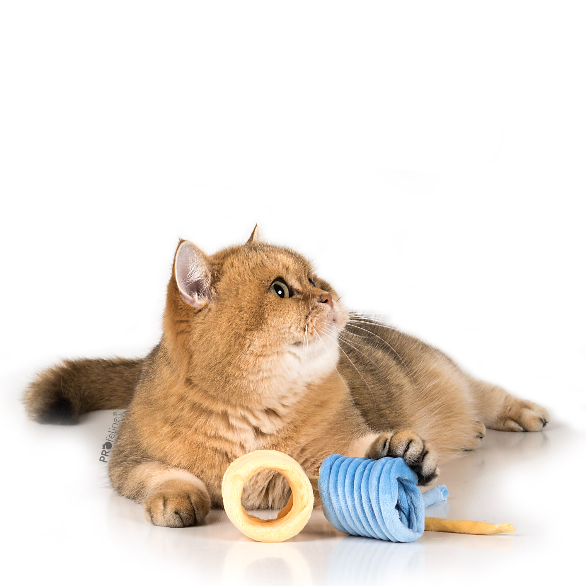 Katzenspielzeug grosse Spirale soft