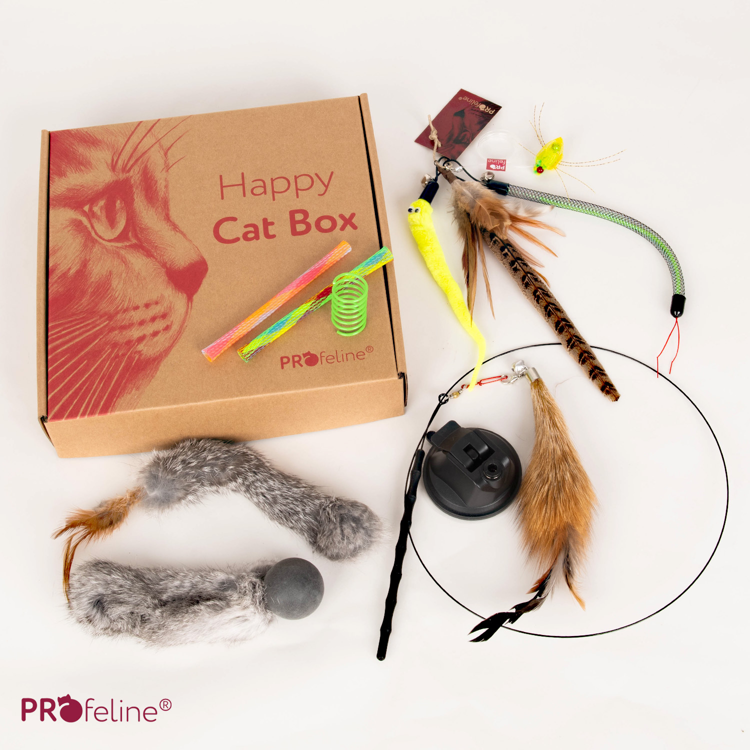 Interaktives Katzenspielzeug Bestseller in der Happy Cat Box
