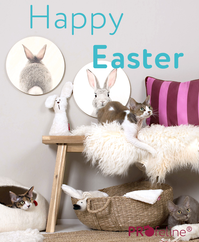 Katzenshop Ostergeschenke