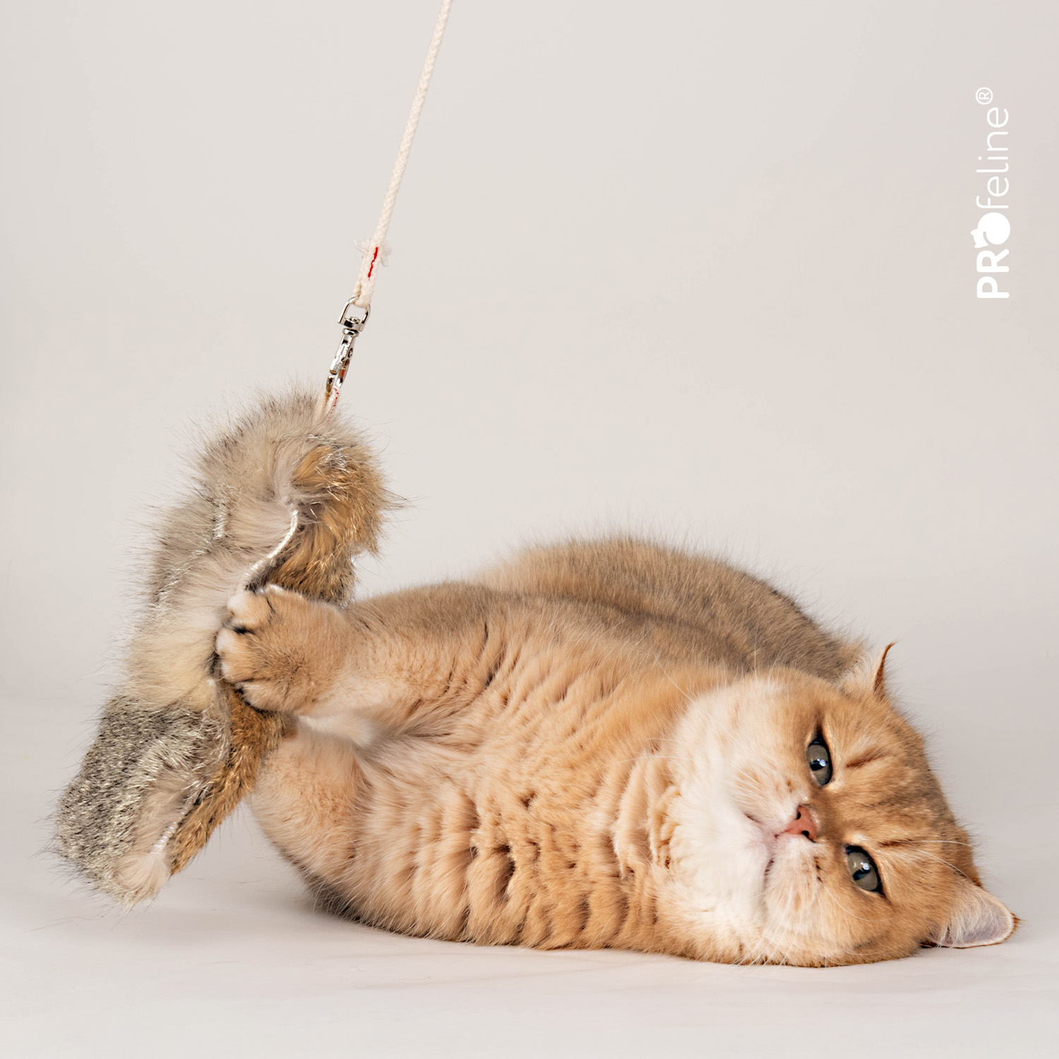 Foy Lure Refill Cat Wand