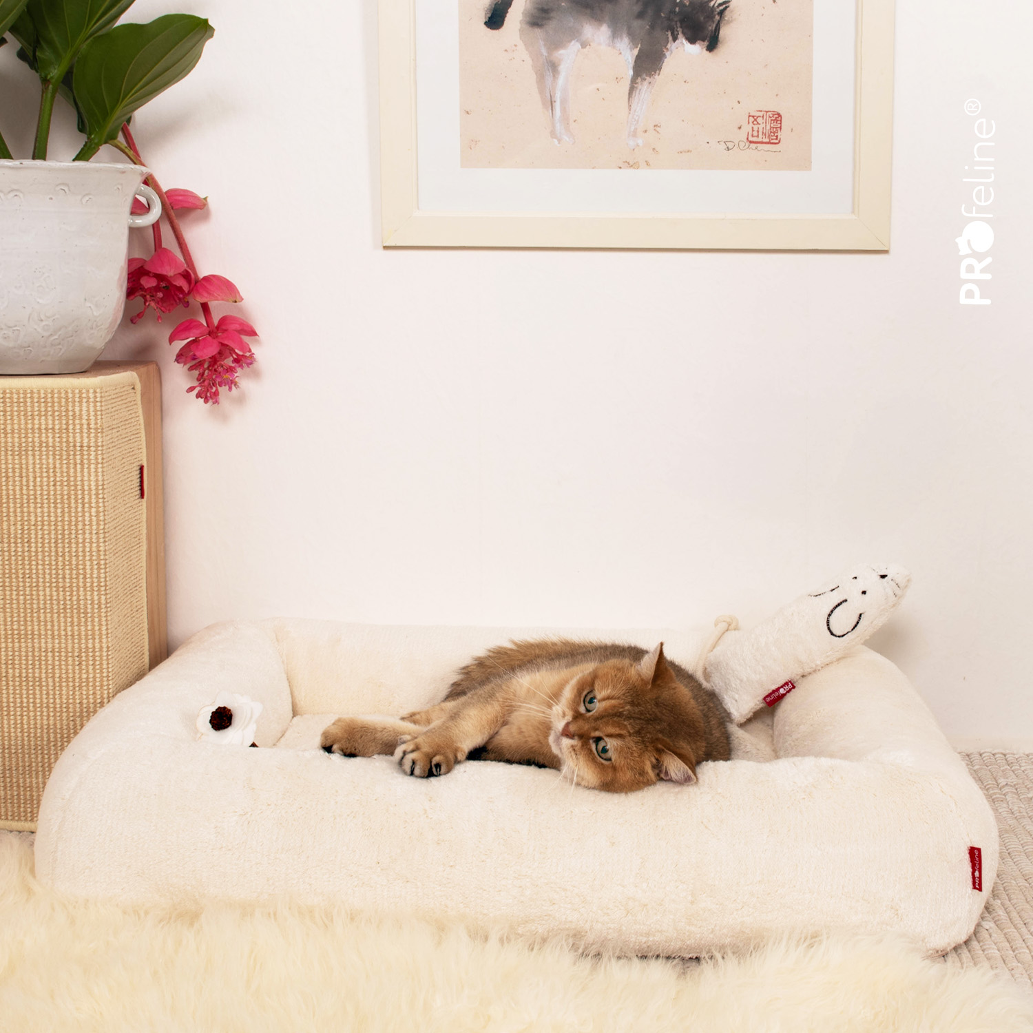 Orthopädisches Katzenbett für grosse Katzen 80 cm Baumwolle