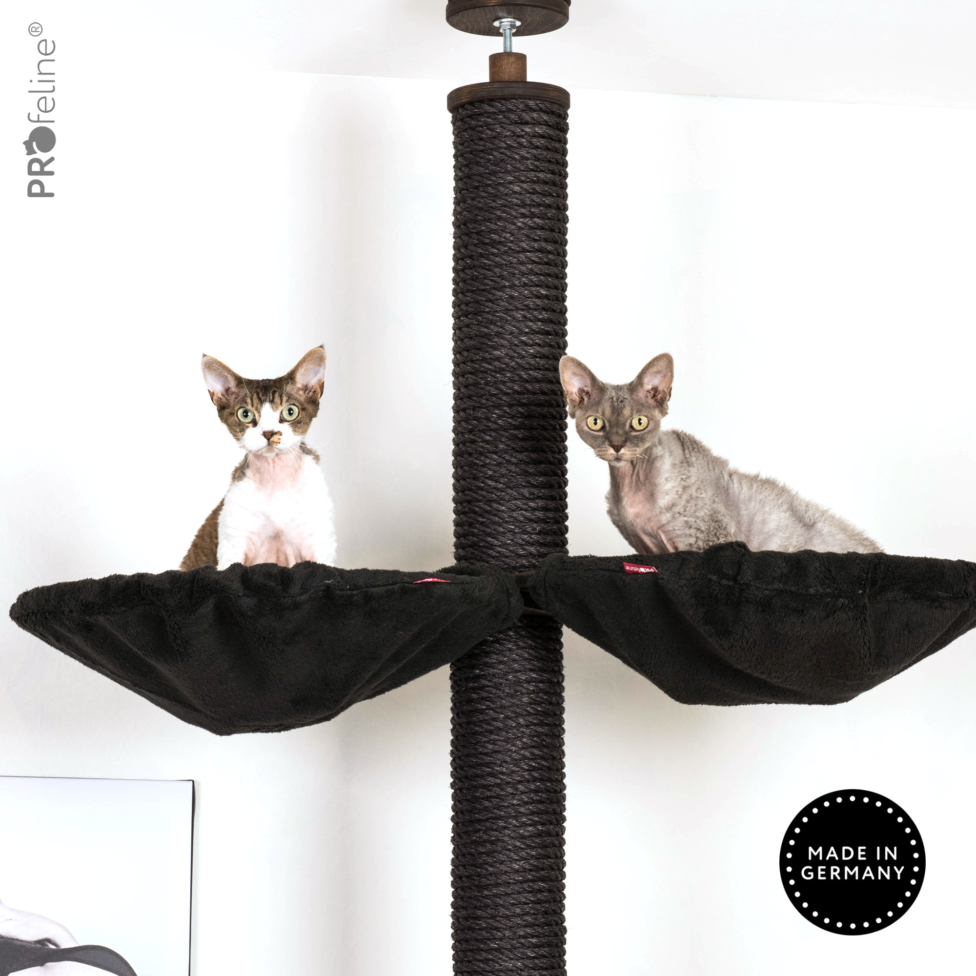 Ceiling Cat Tree Model Anouk Deckenhoher Kratzbaum schwarz Mulden