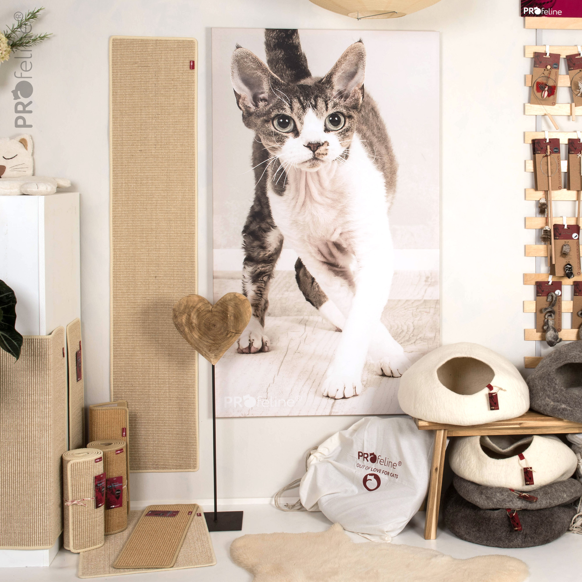 Katzen Boutique Fachhändler