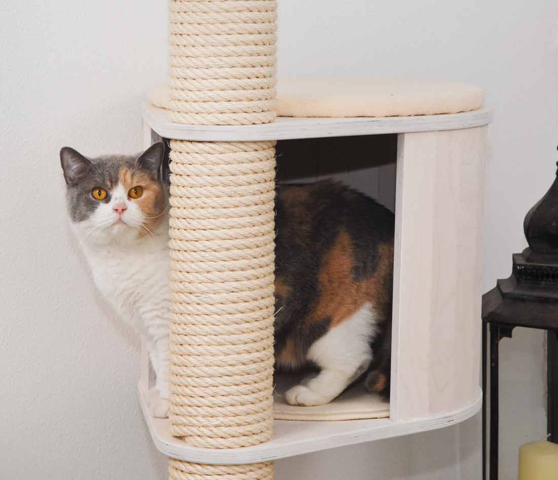 Ceiling Cat Tree Model Luisa Katzenhaus Kratzbaum weiss