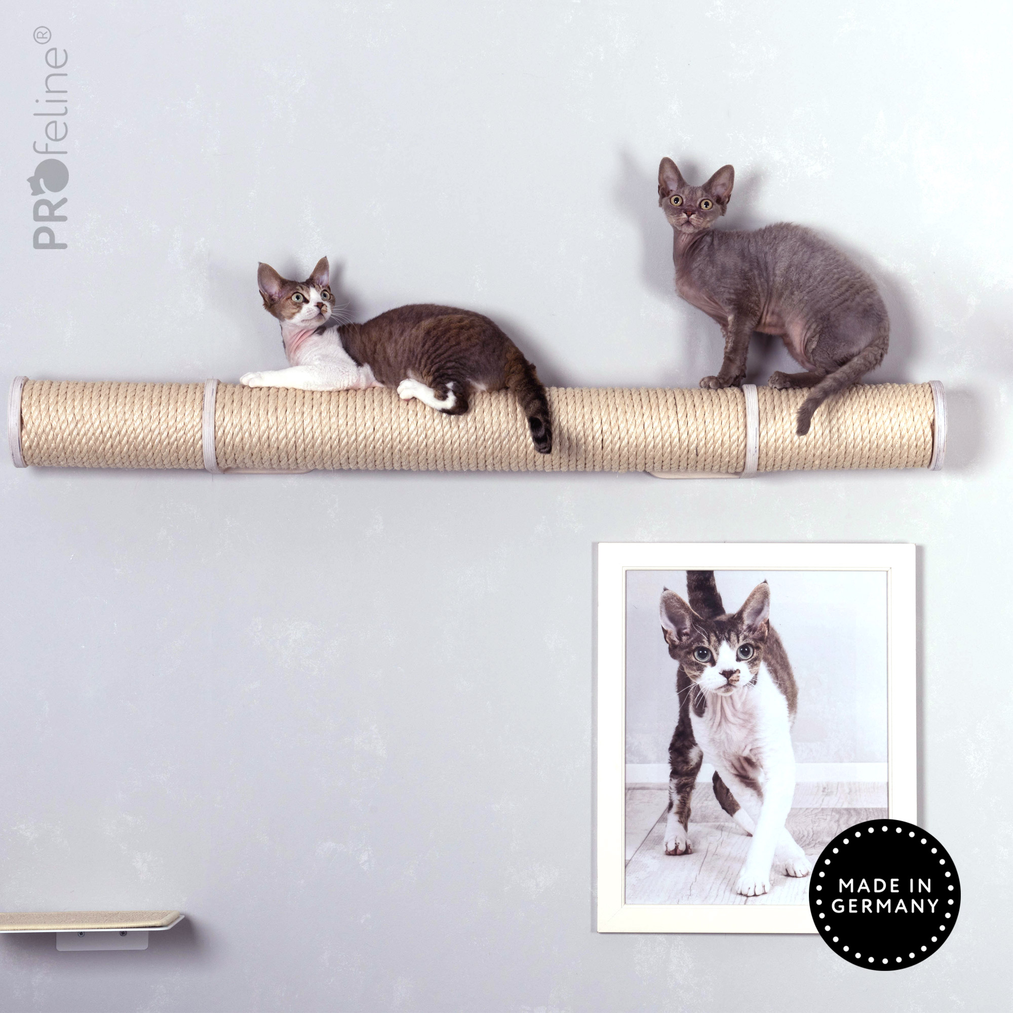 catwalk-runway-weiss-cats Sisal Natural, Wood White