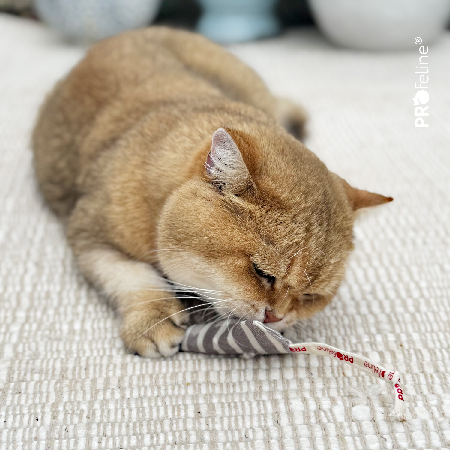 Katzenspielzeug mini Maus Biolgisch