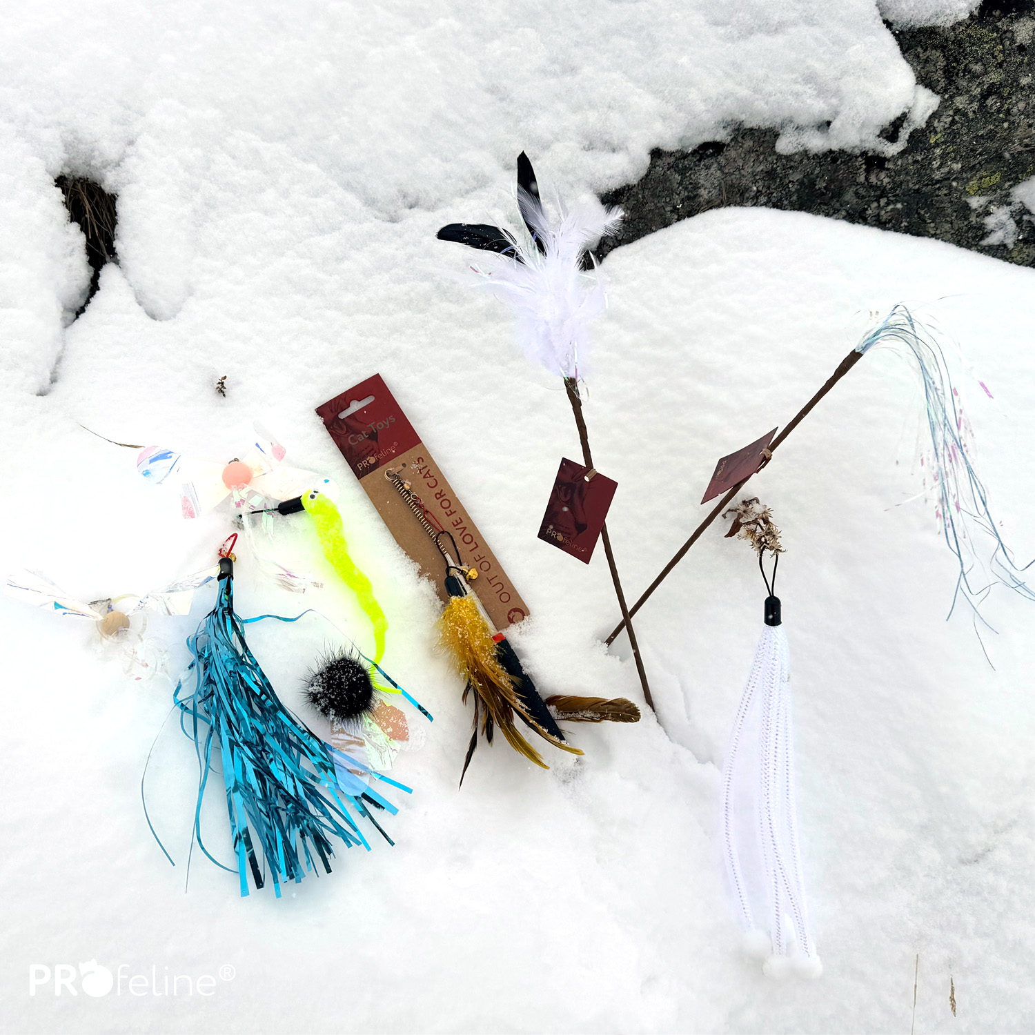 Katzenspielzeug Box von Katzenkennern