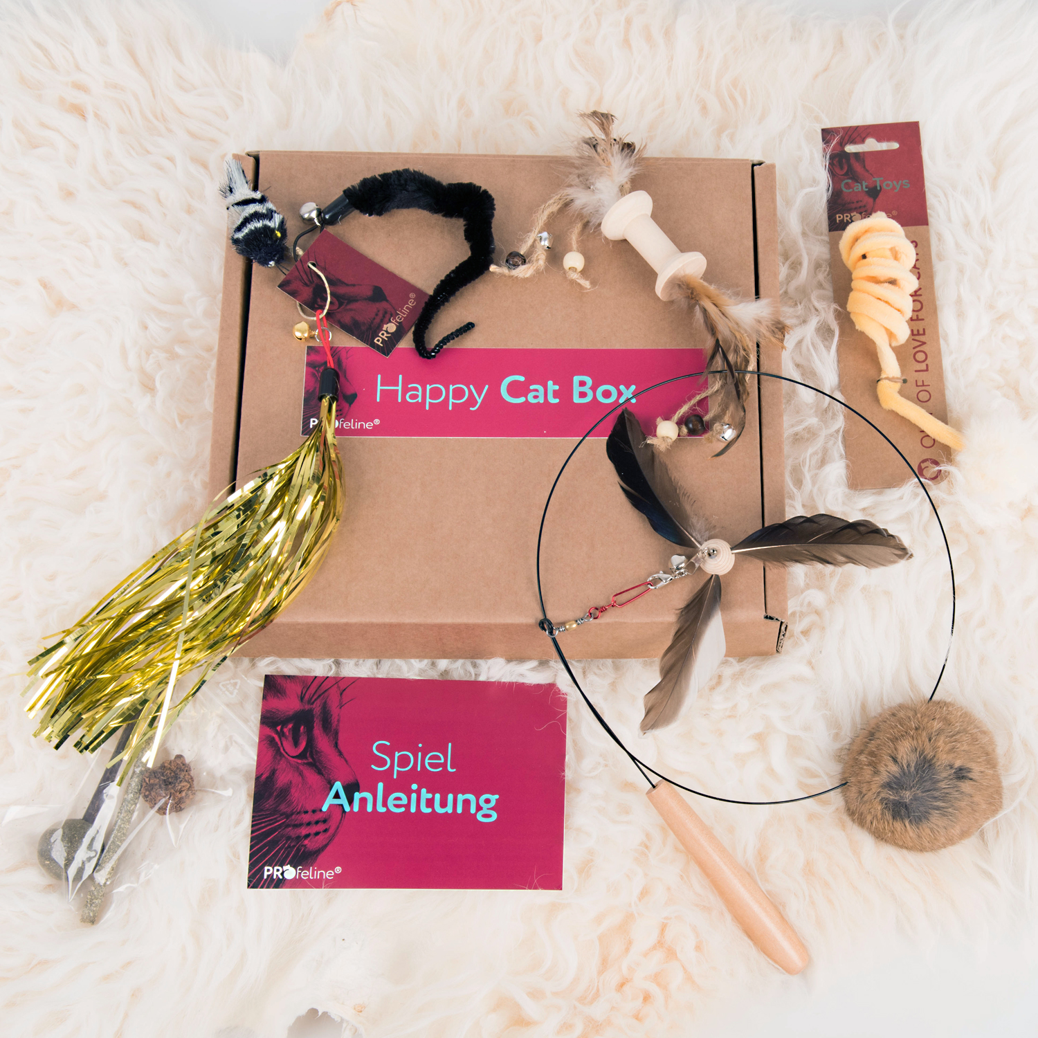 Katzen Box Weihnachtsgeschenk