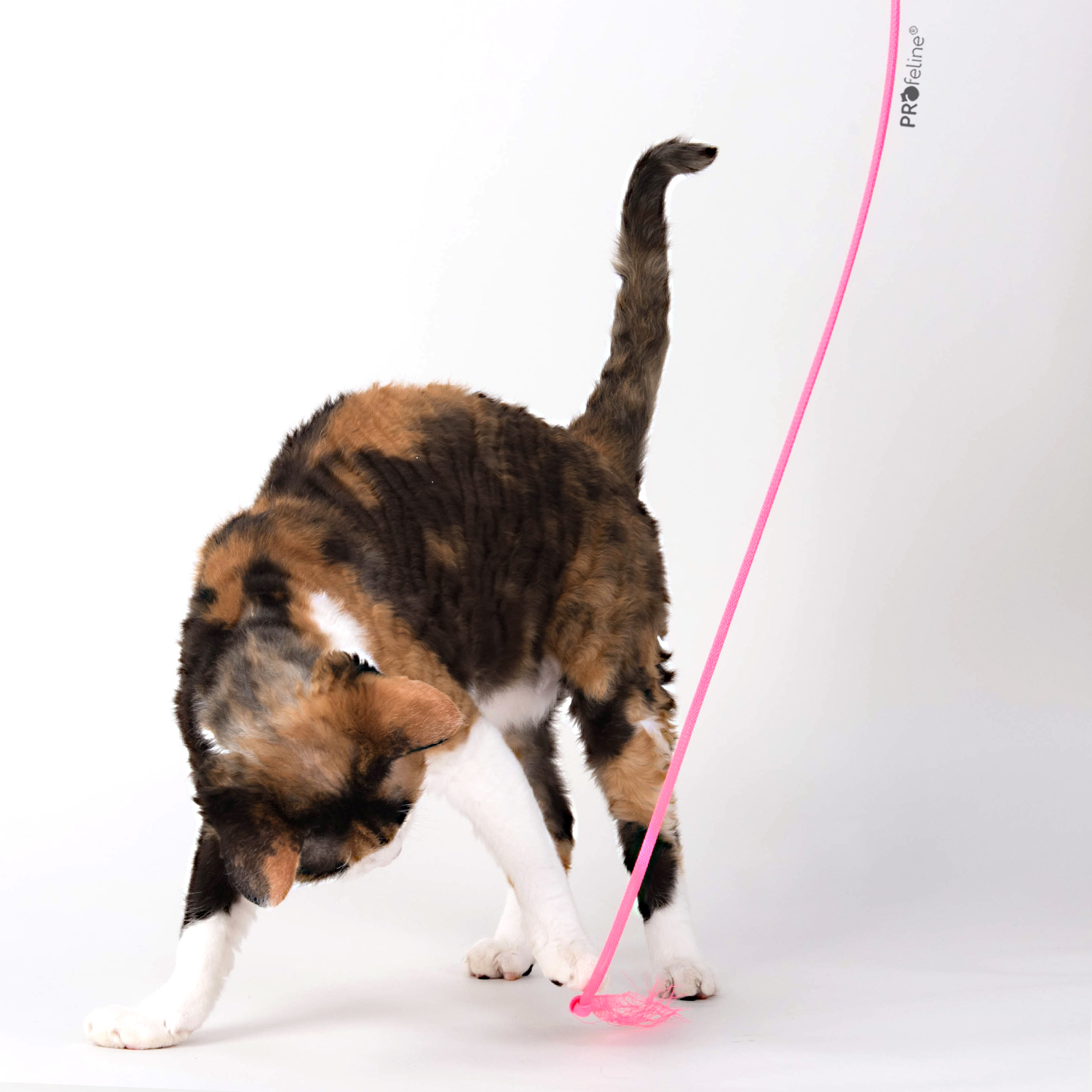 Boinks Bamboozler Made in USA Cat Rod Boinks Bamboozler USA