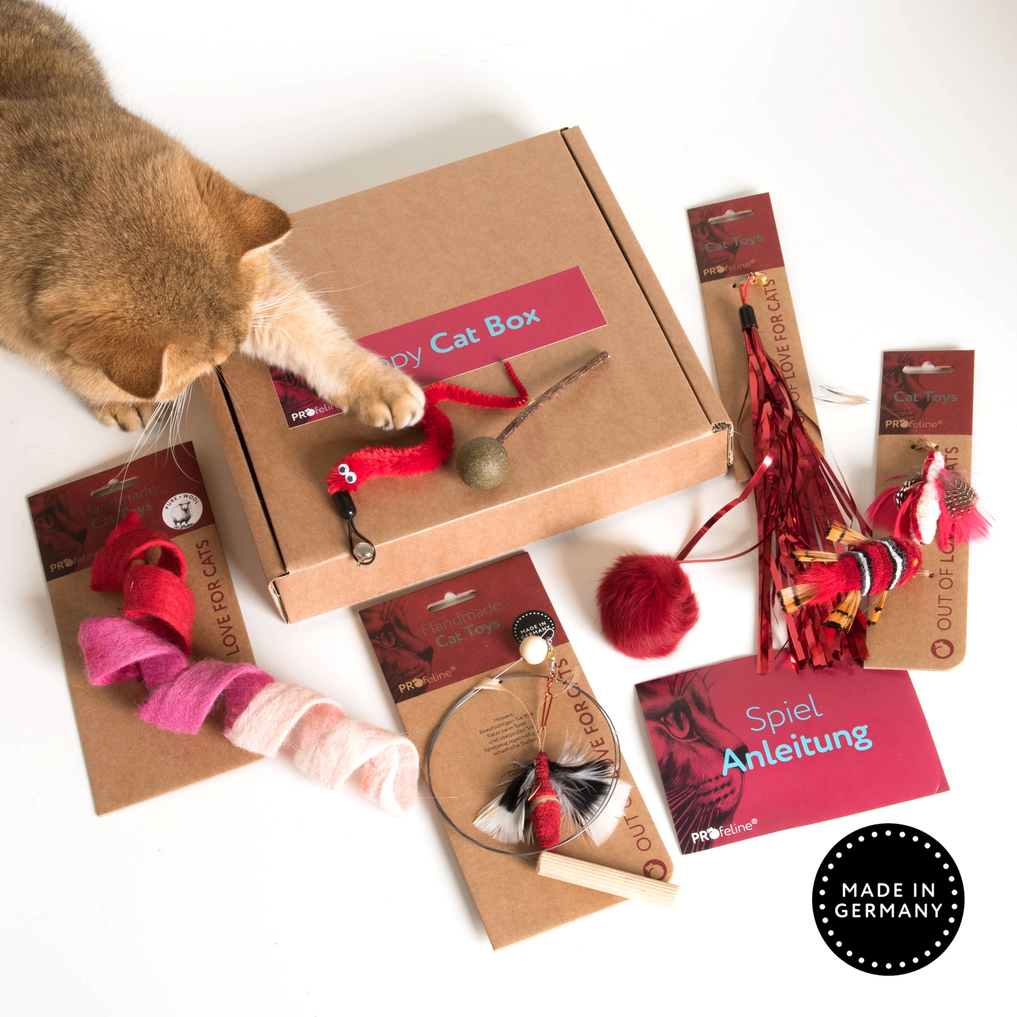 Happy Cat Box Katzenspielzeug