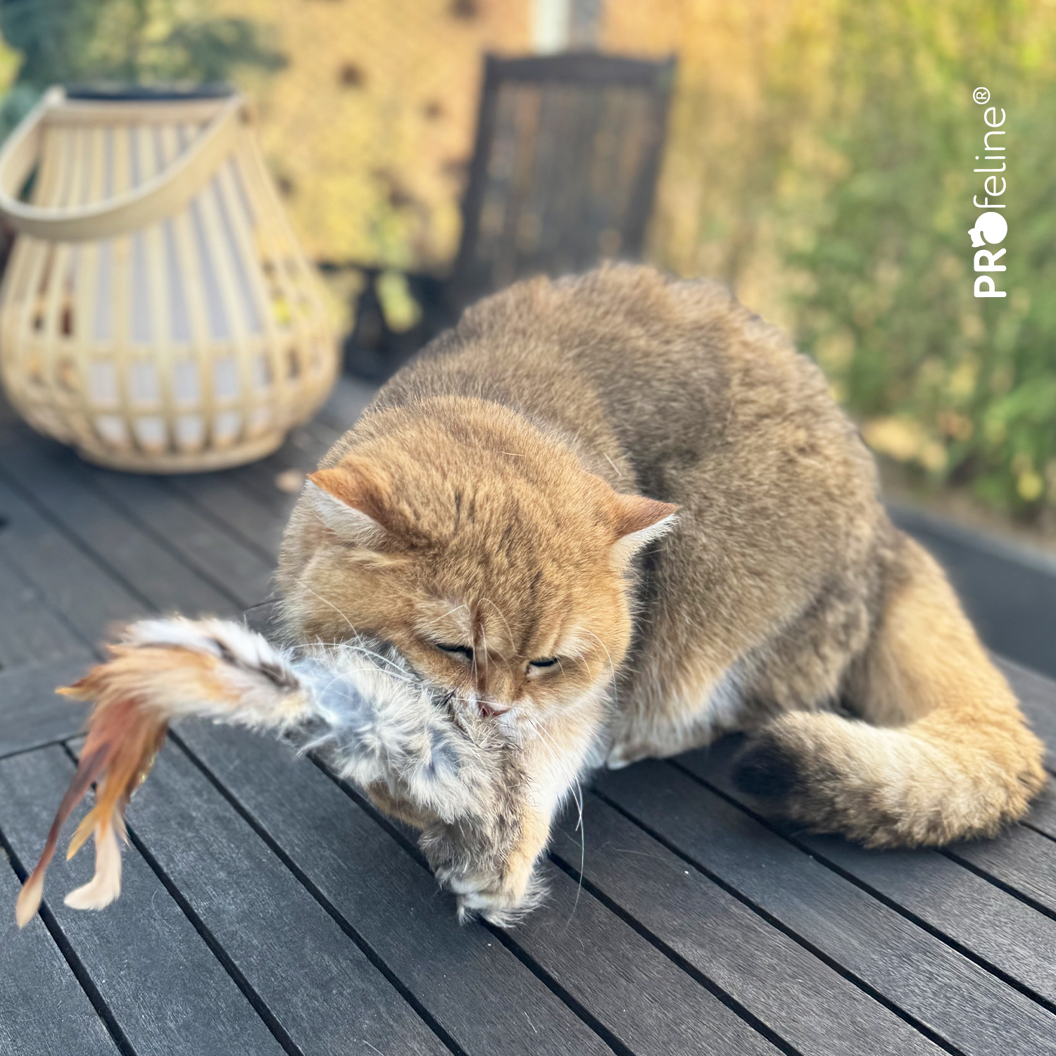 Wild Fur Buster Echtfell Katzenspielzeug Wild Fur Buster