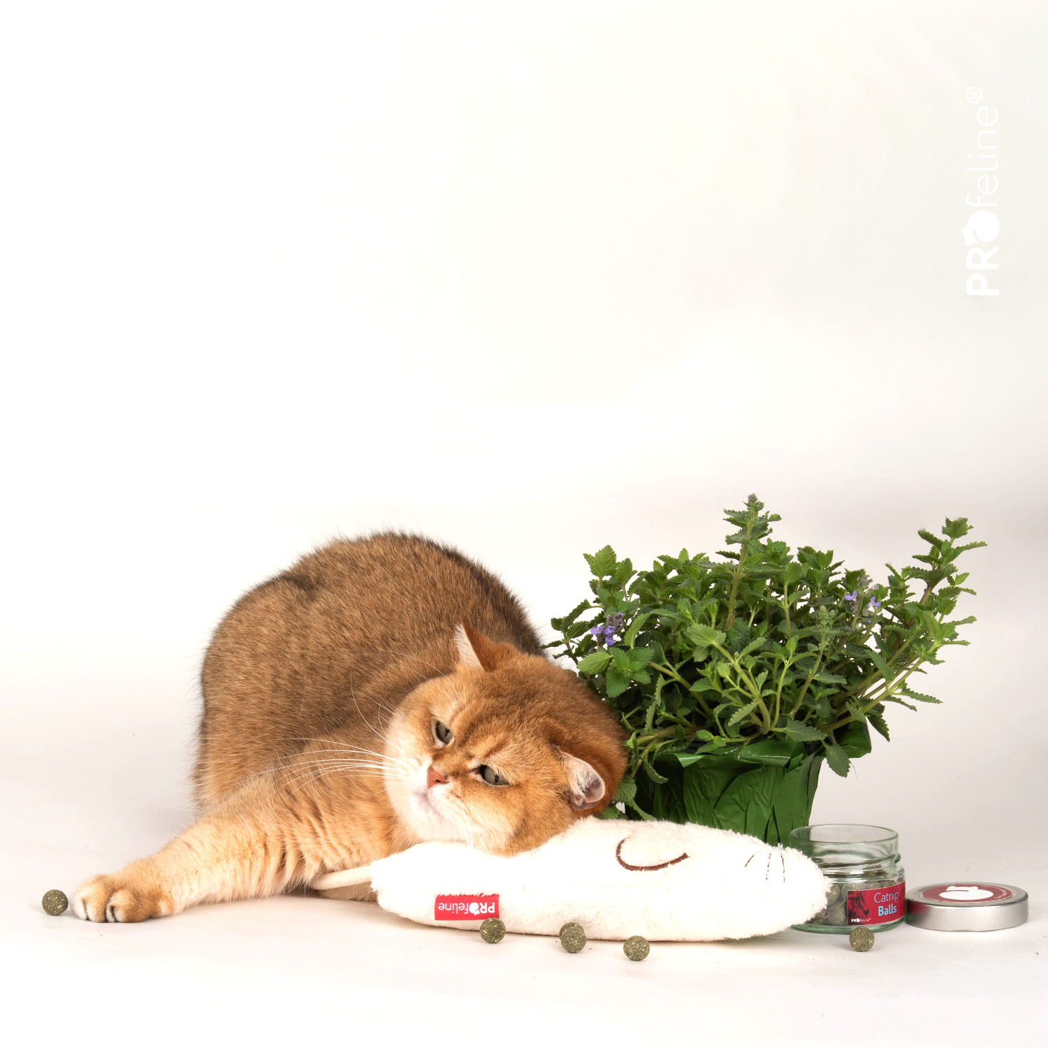 Katzenminze Bälle zum befüllen von Katzenspielzeug
