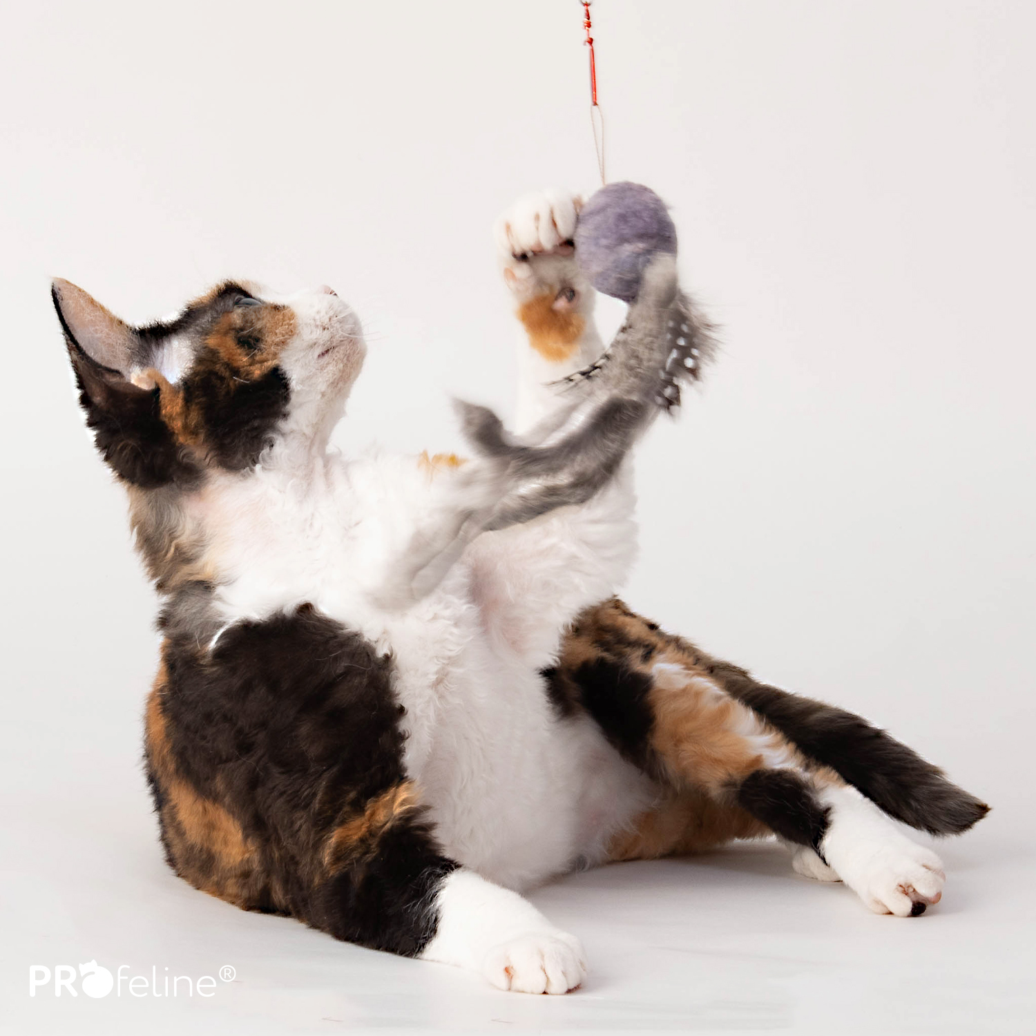 WiggleFur Refill Wollball mit Kaninchenstreifen für Katzenagel