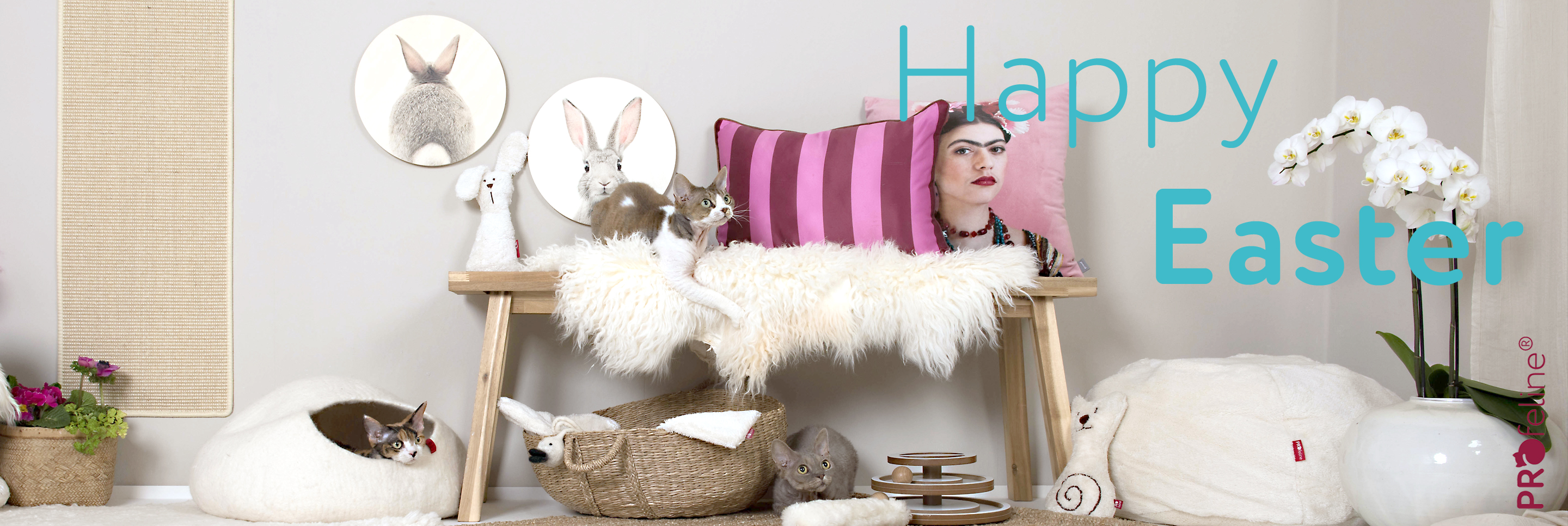 Katzenshop Ostergeschenke