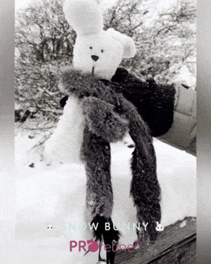 Katzenspiezueg Snuggle Bunny