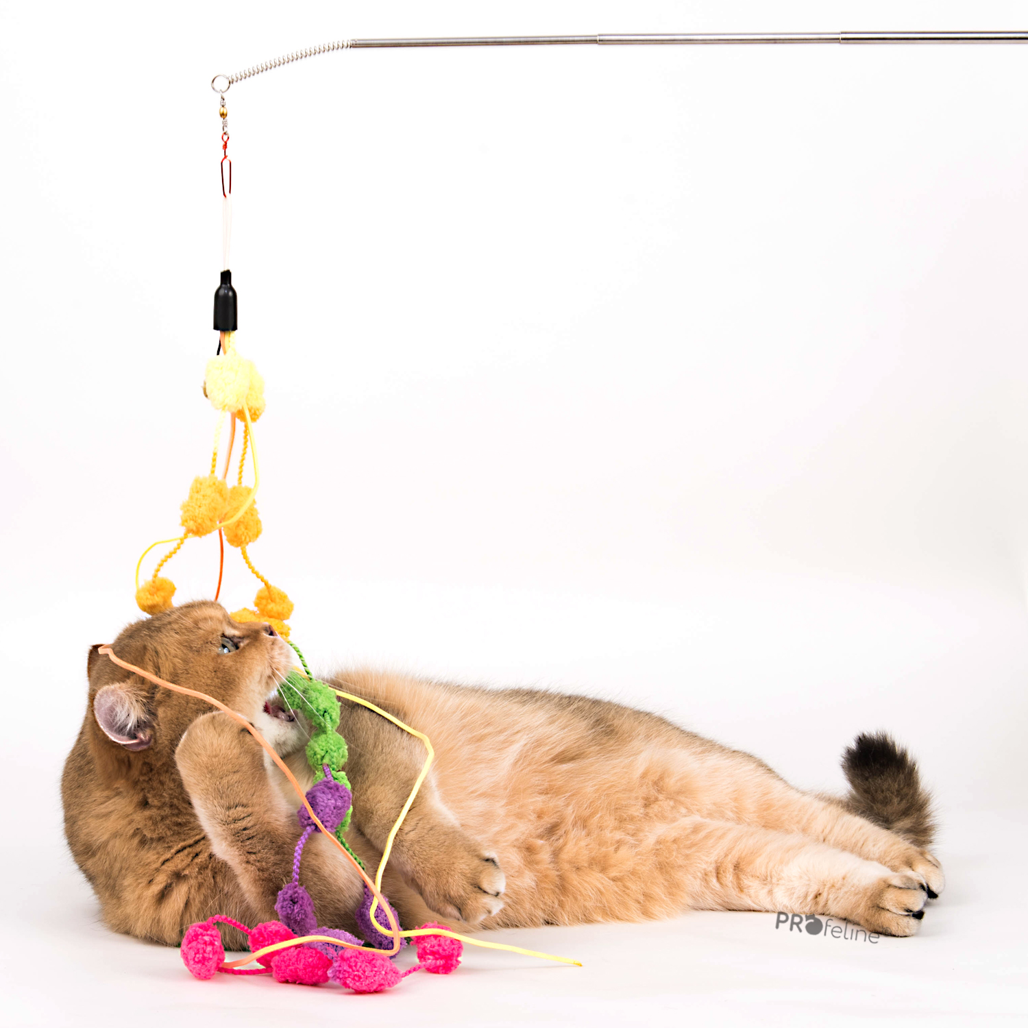 Pom Pom Ribbon Refill Katzenangel Anhänger Pom Pom lang mit Katze