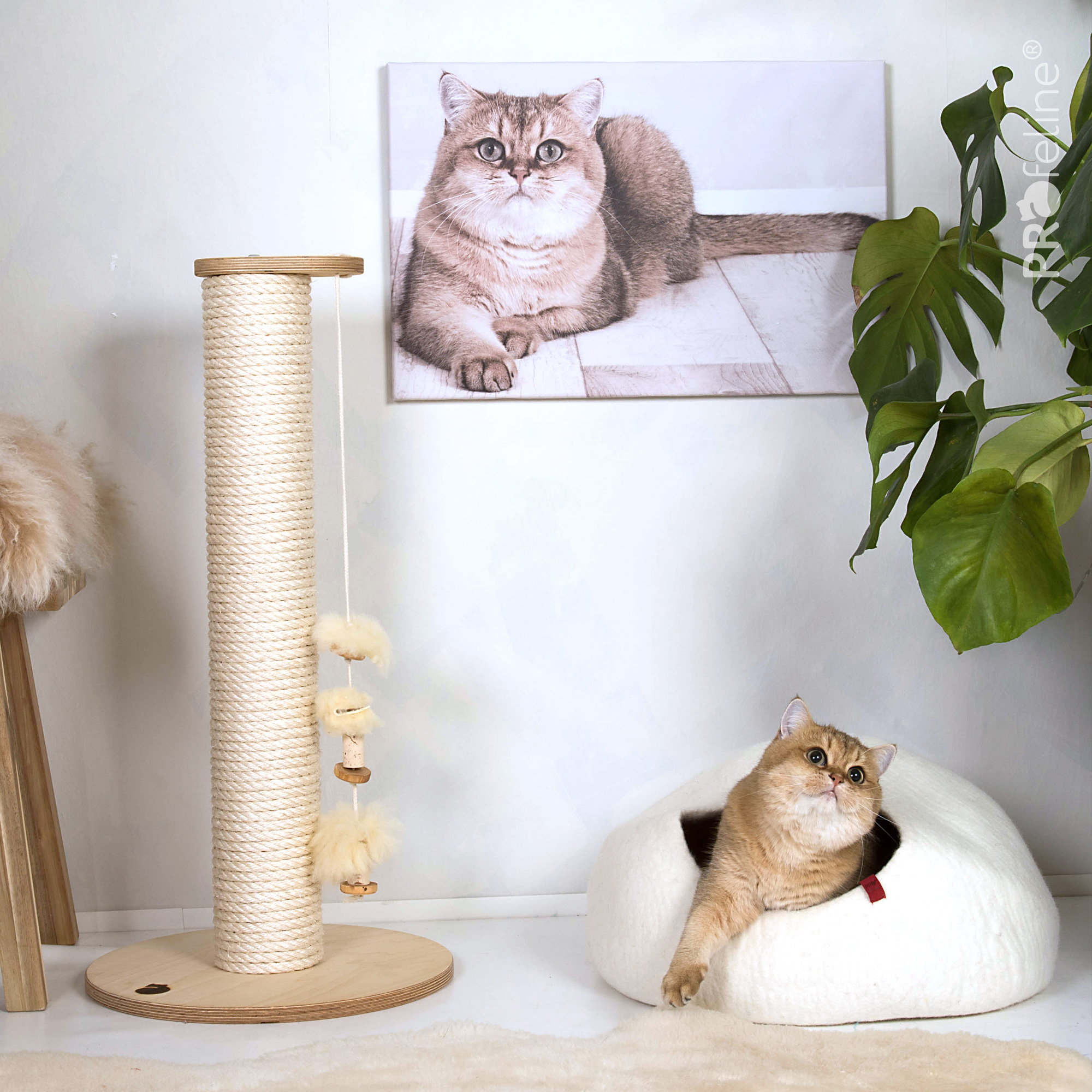 Scratching Post Model Ina Kratzsatmm Ina mit Filzhöhle
