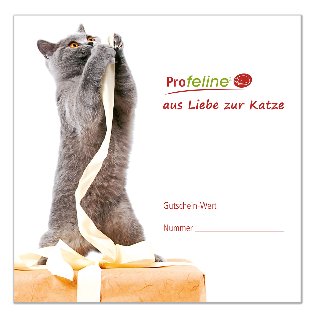 Katzen Geschenk Gutschein