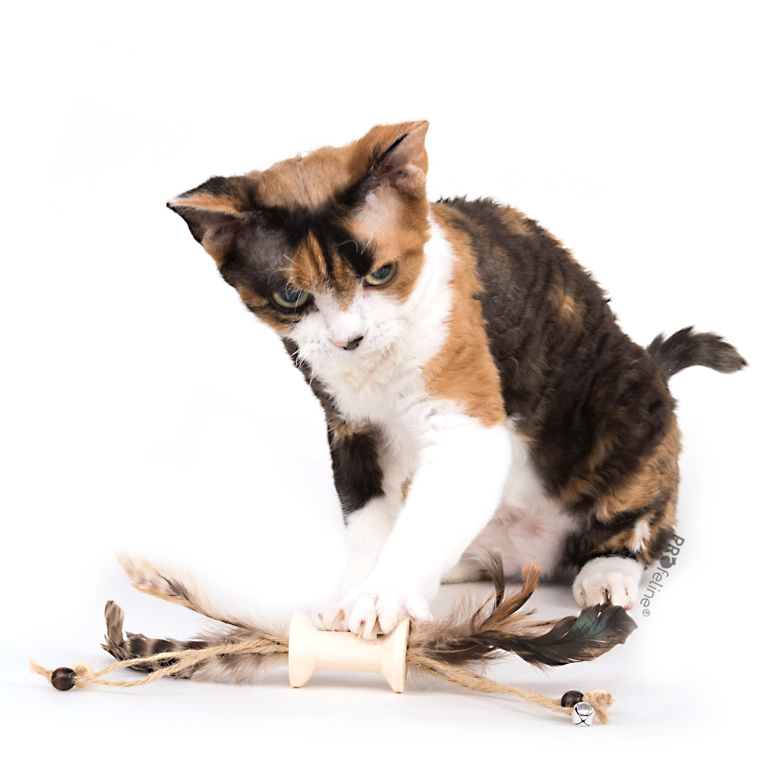 Whiskers Spindle Katzenspielzeug Spindel mit Federn