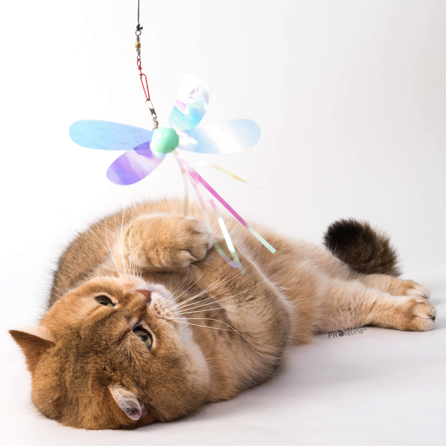 Holographic Butterflies Refill Holographic Schmetterling für Katzen