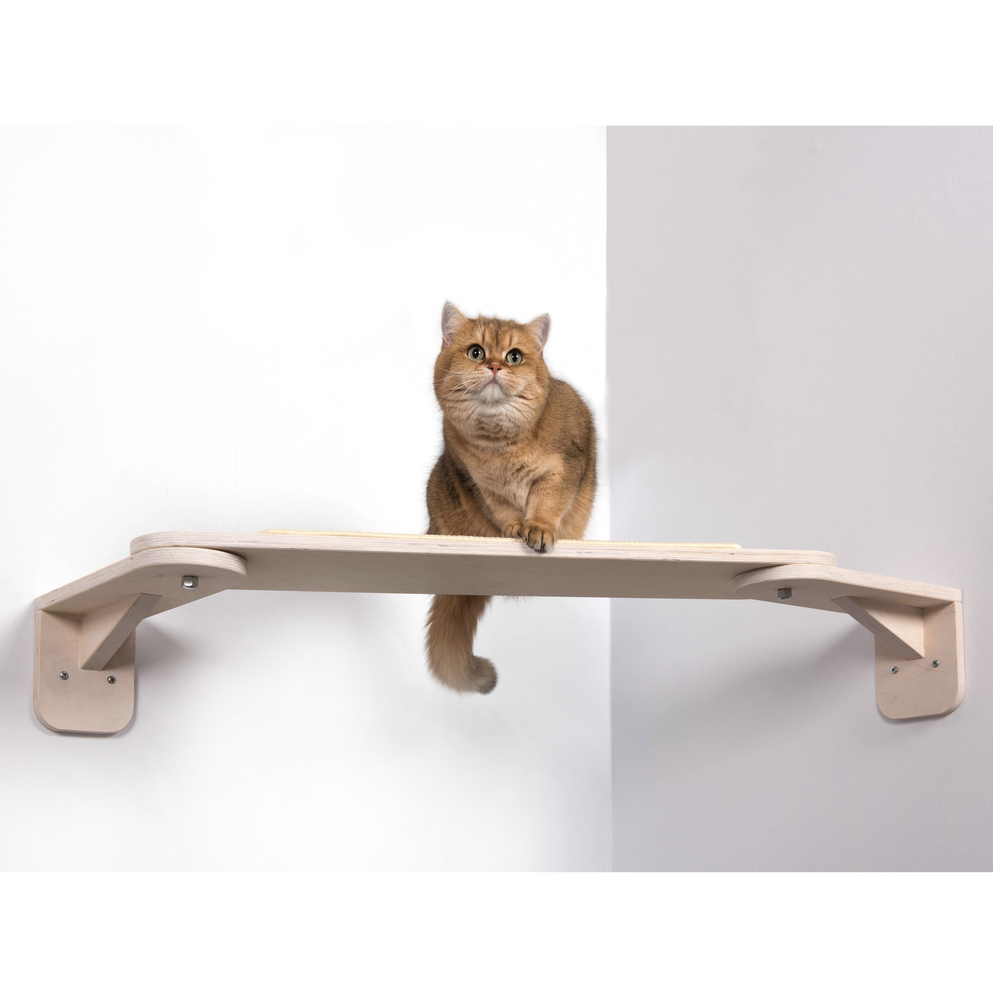 Catwalk Nele Katzen Catwalk weiss
