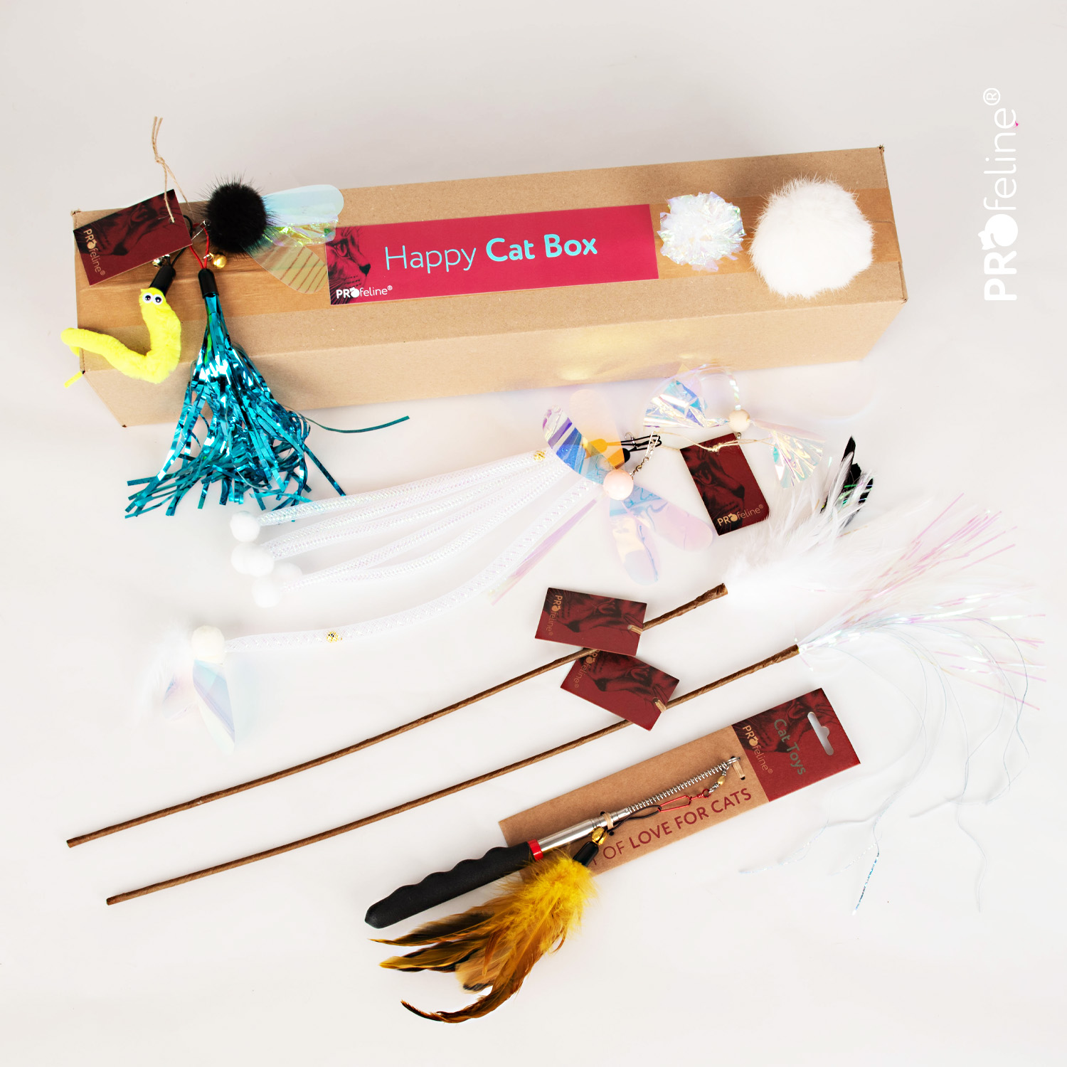 Katzen Überraschungs Box Spielzeug