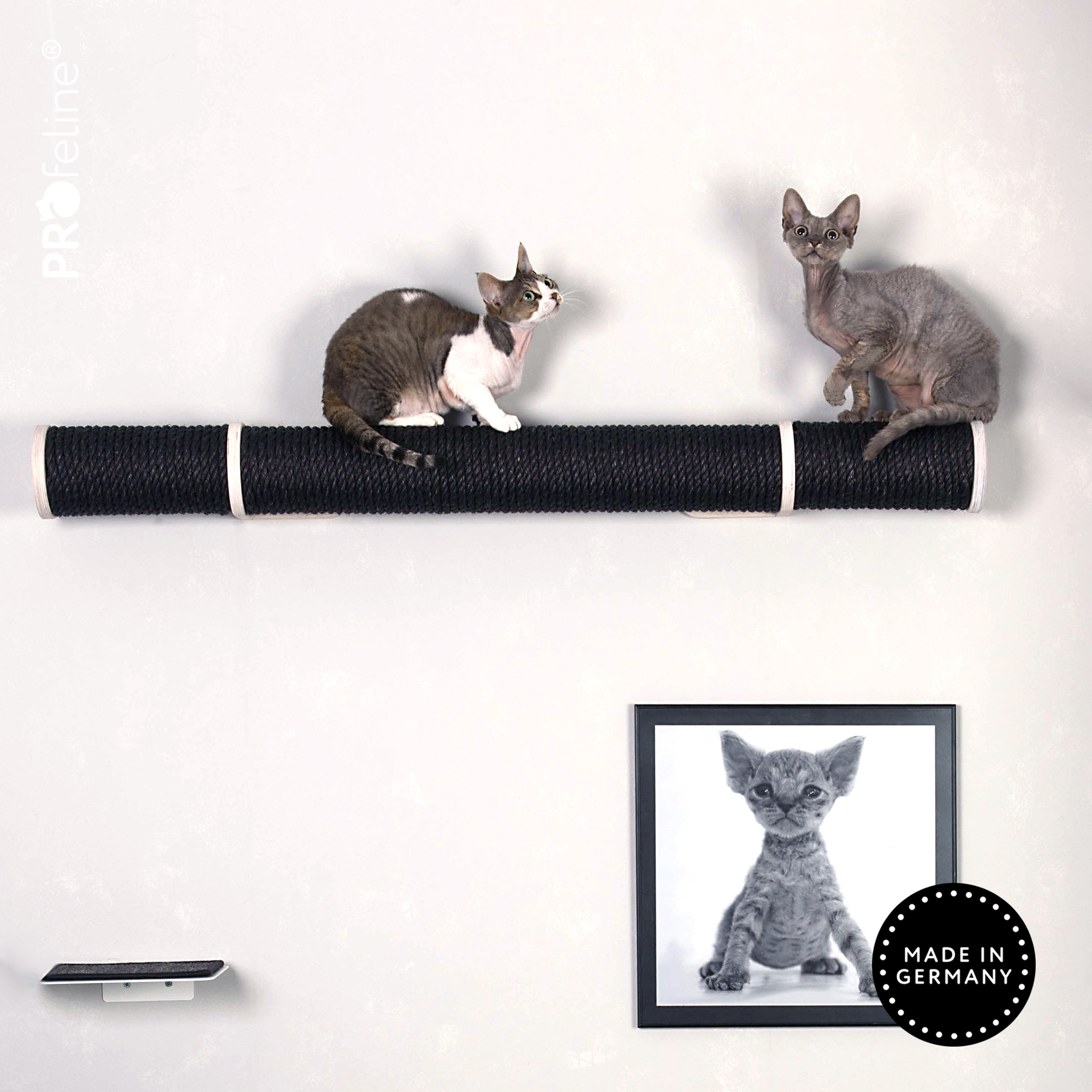 catwalk-runway-black-cats Sisal Black, Wood White